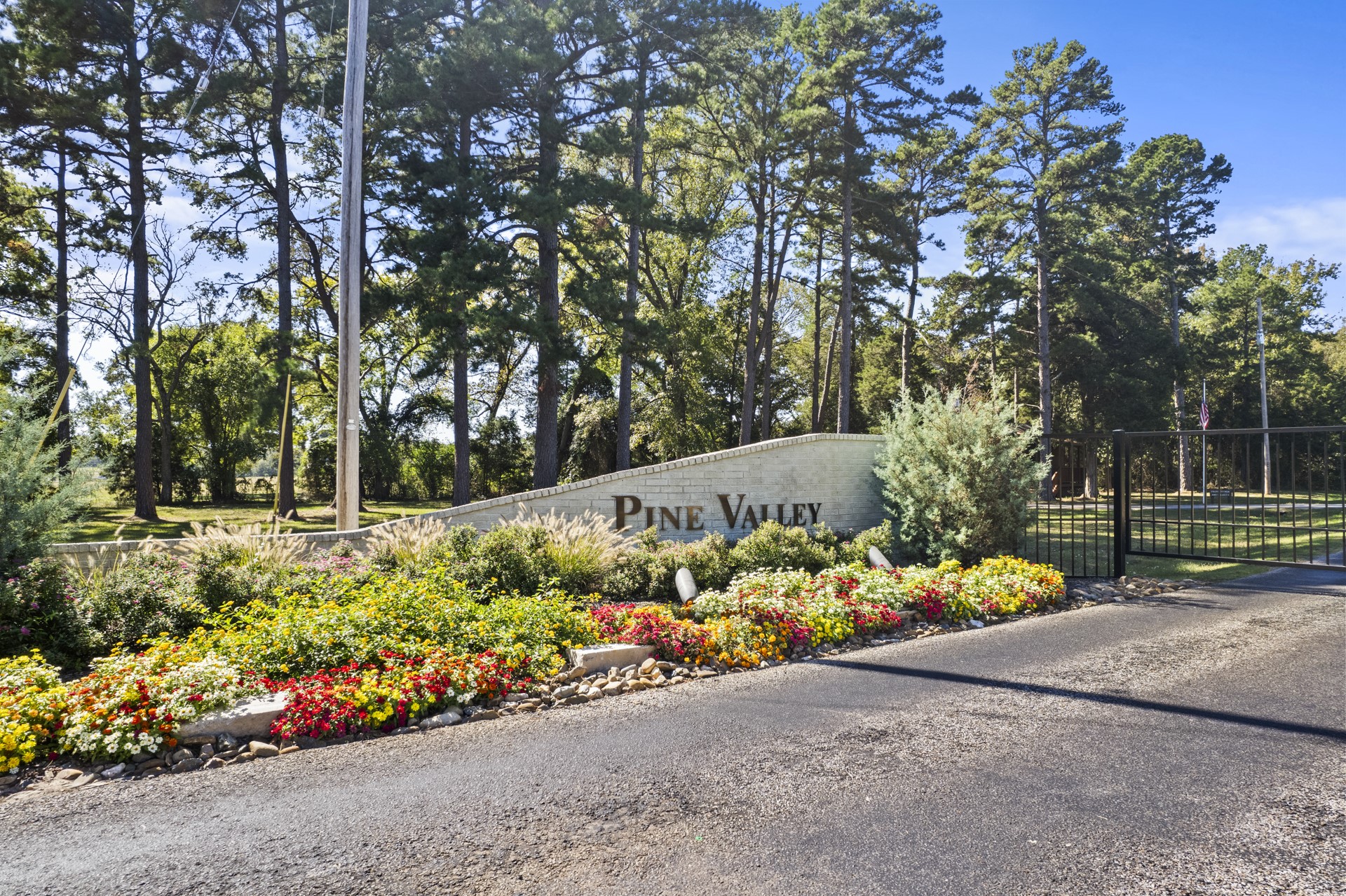 Tbd Charlya Drive Scroggins TX 75480