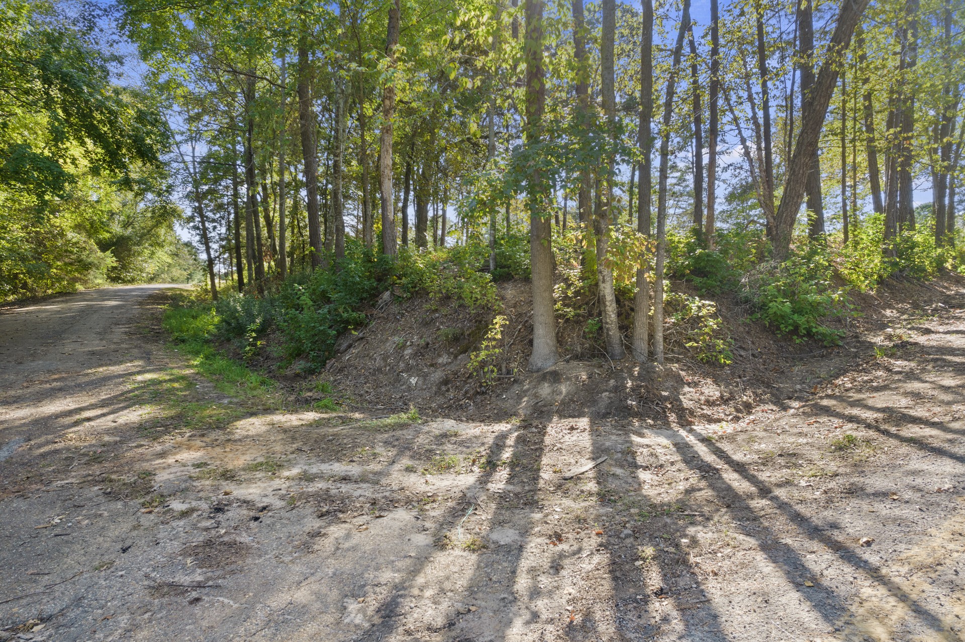 Tbd Charlya Drive Scroggins TX 75480