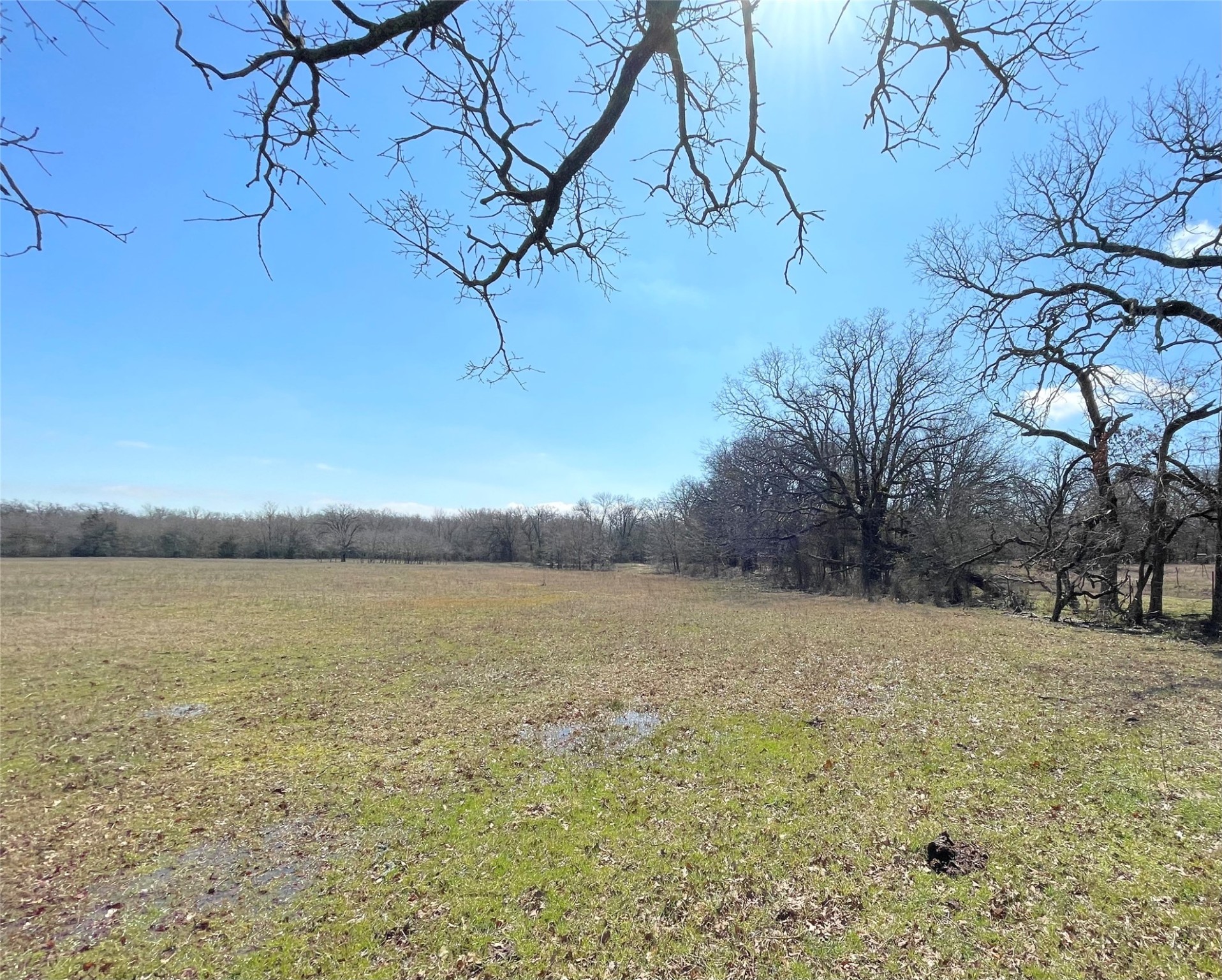 Tbd Killian Drive Quinlan TX 75474