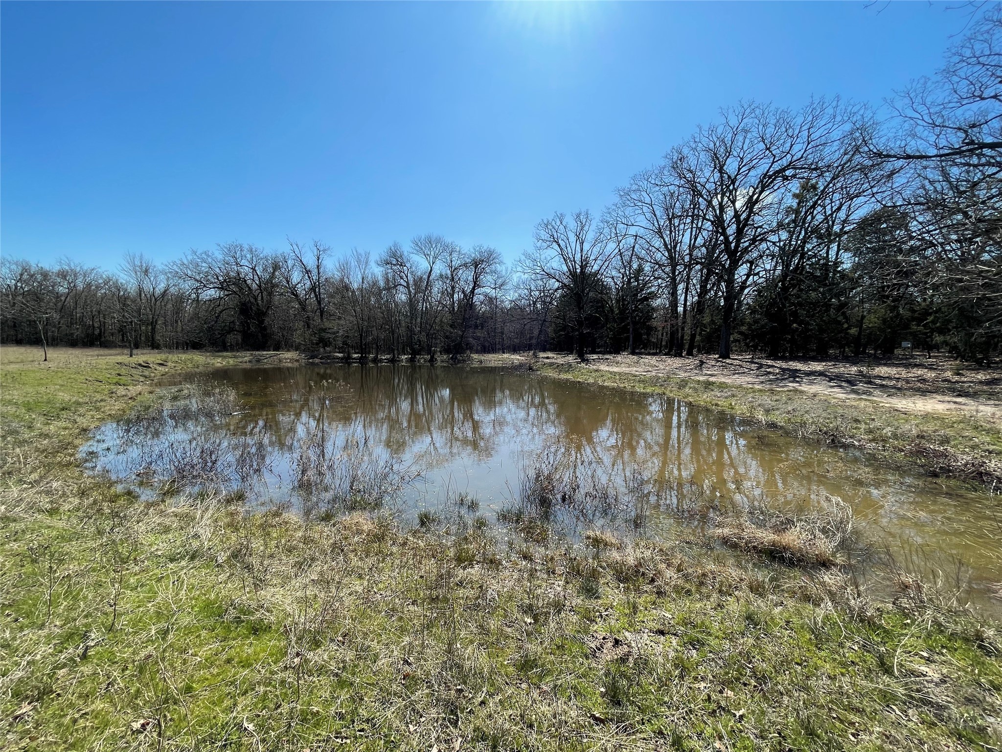 Tbd Killian Drive Quinlan TX 75474
