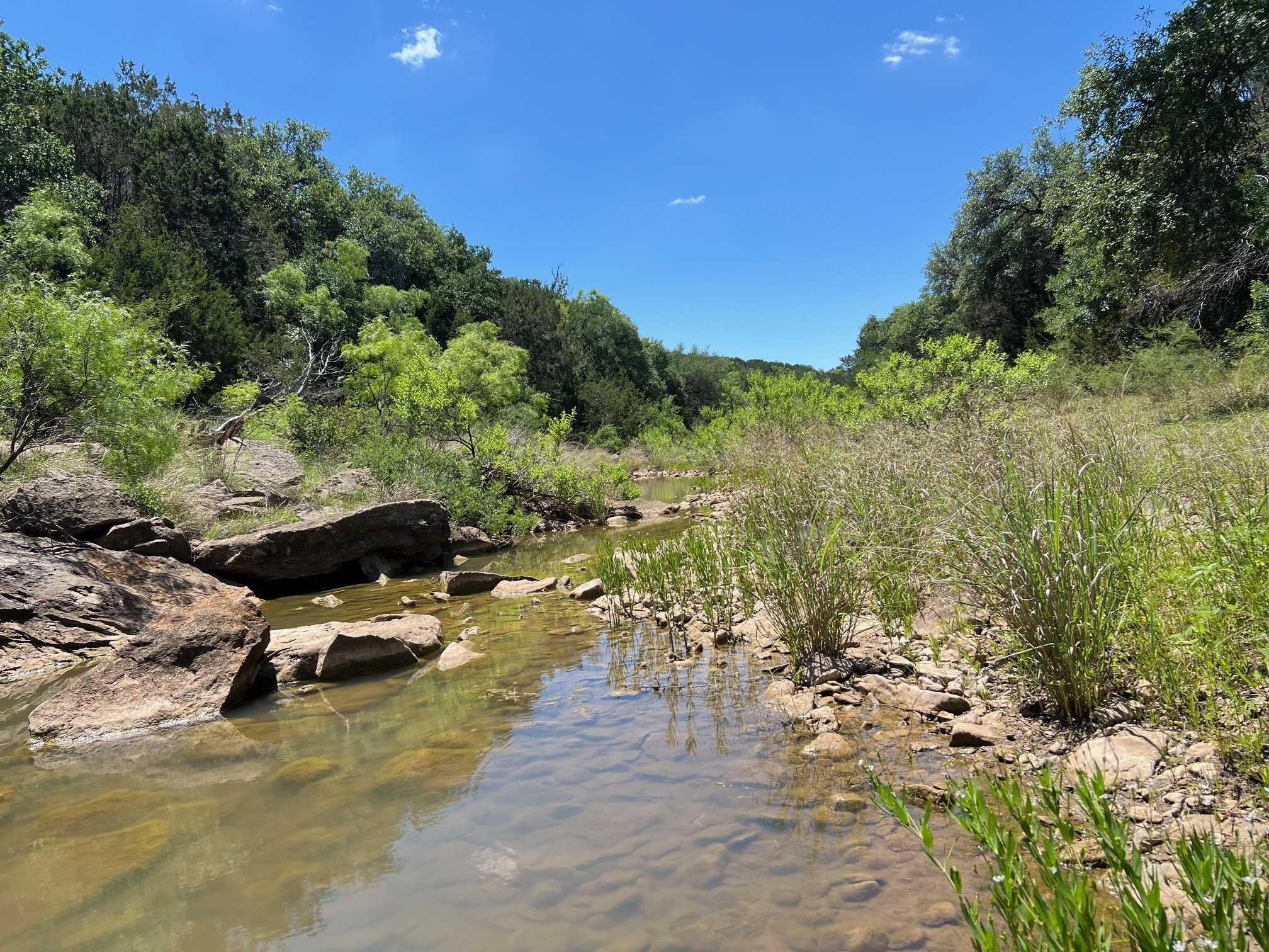 Tbd County Road 224 Santa Anna TX 76878