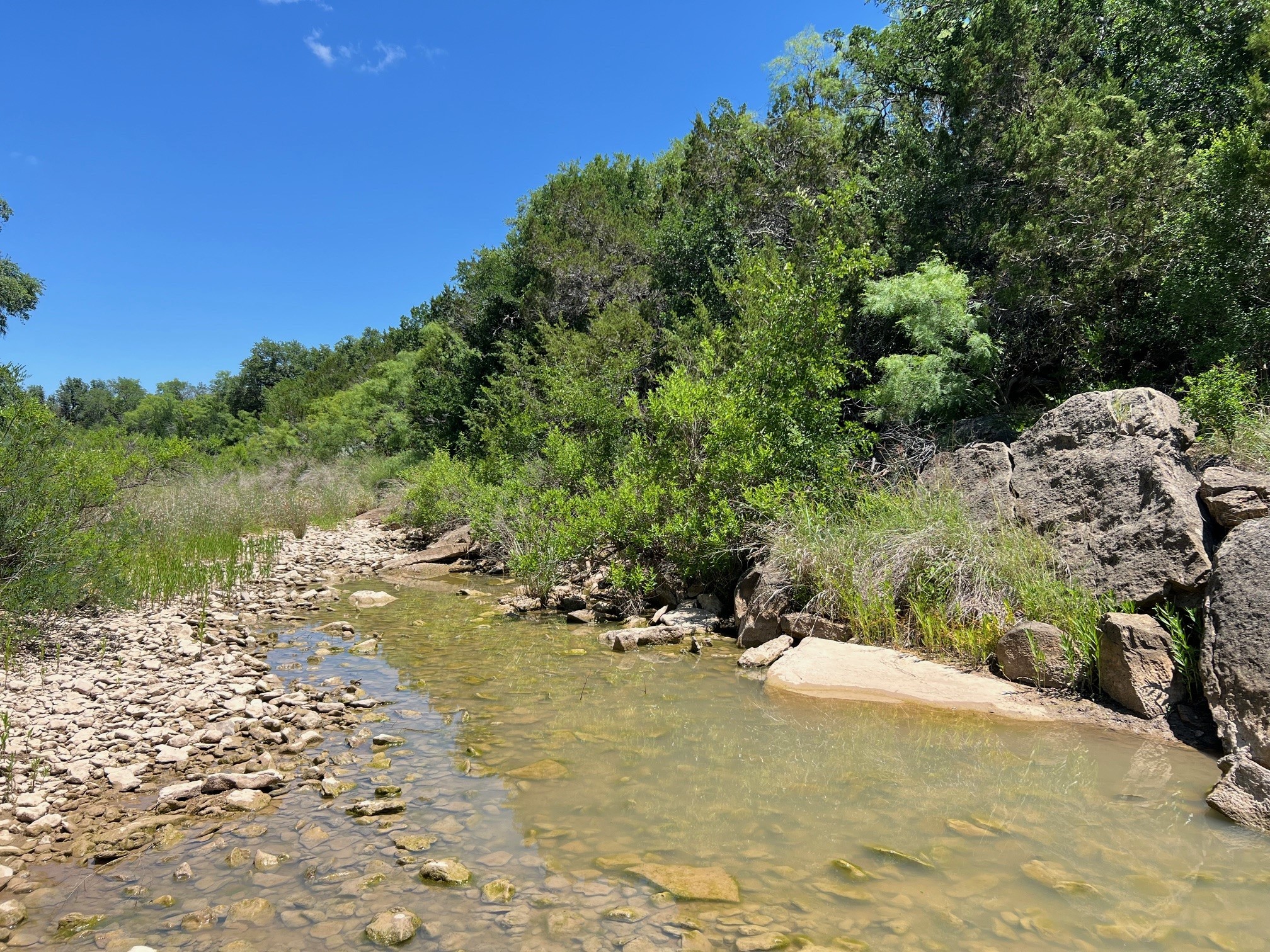 Tbd County Road 224 Santa Anna TX 76878