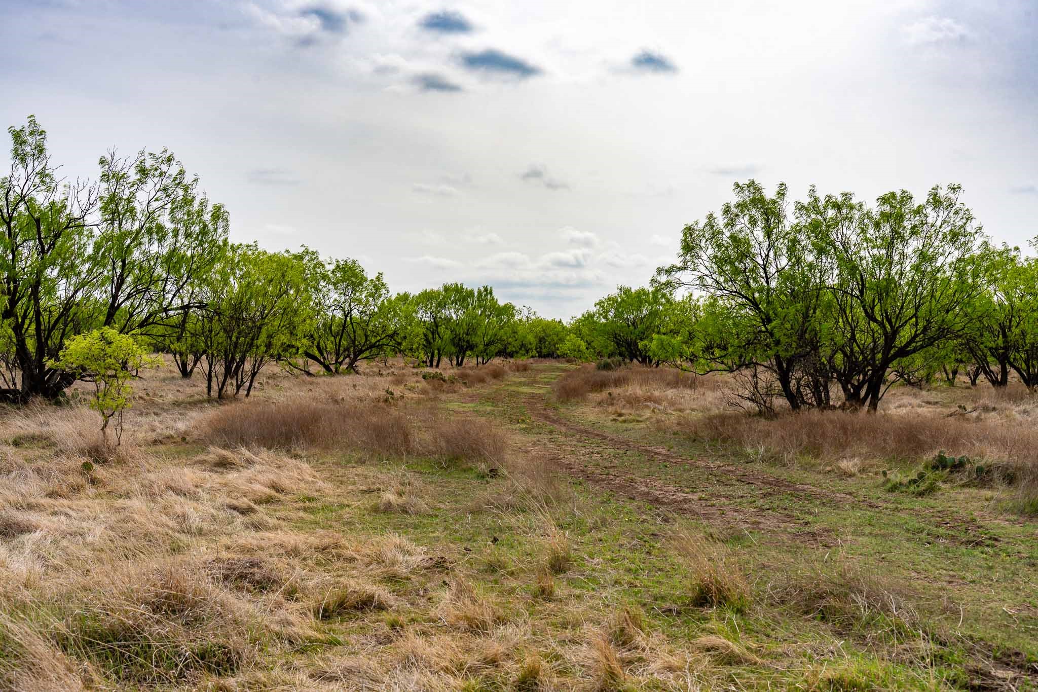 Tbd Rockdale Road No City TX 79533