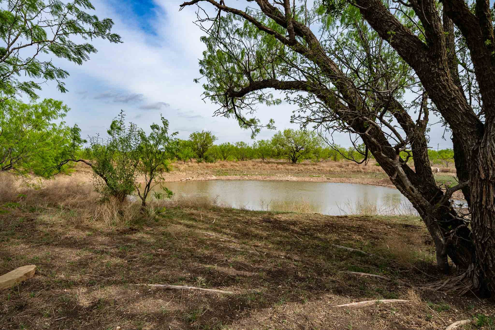 Tbd Rockdale Road No City TX 79533