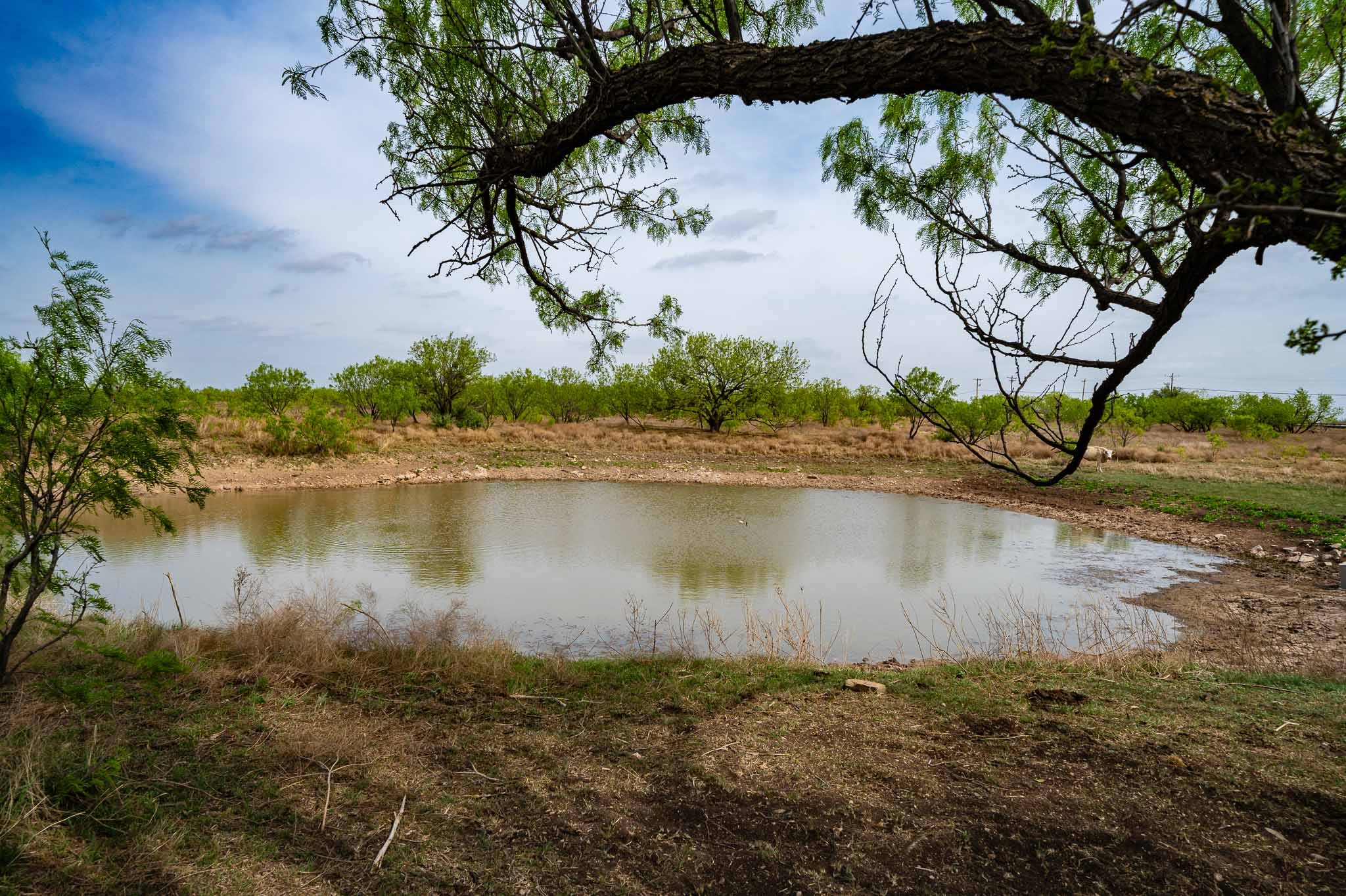 Tbd Rockdale Road No City TX 79533