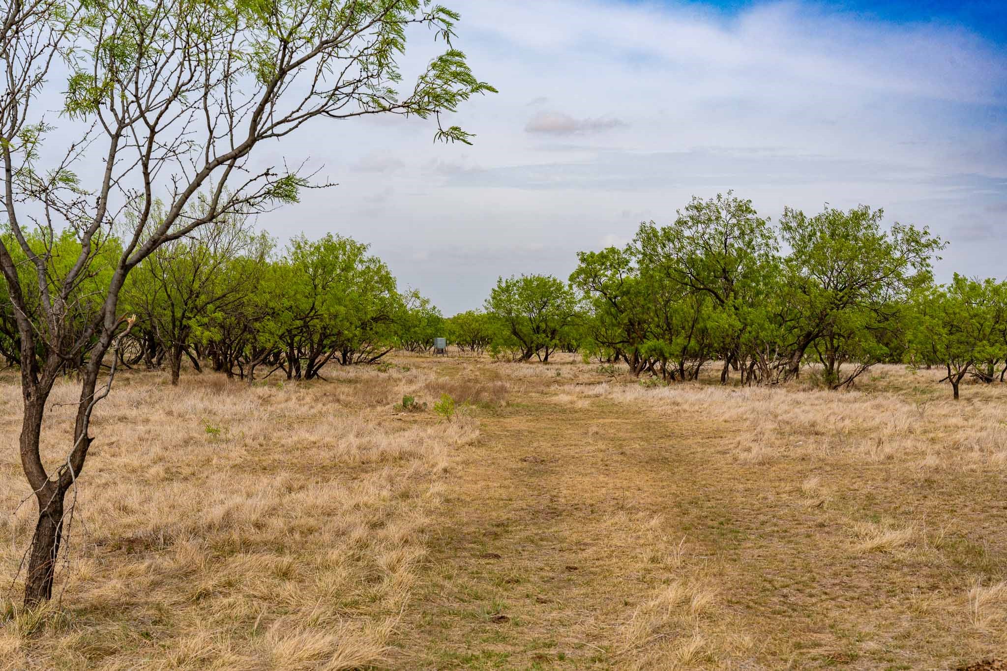 Tbd Rockdale Road No City TX 79533