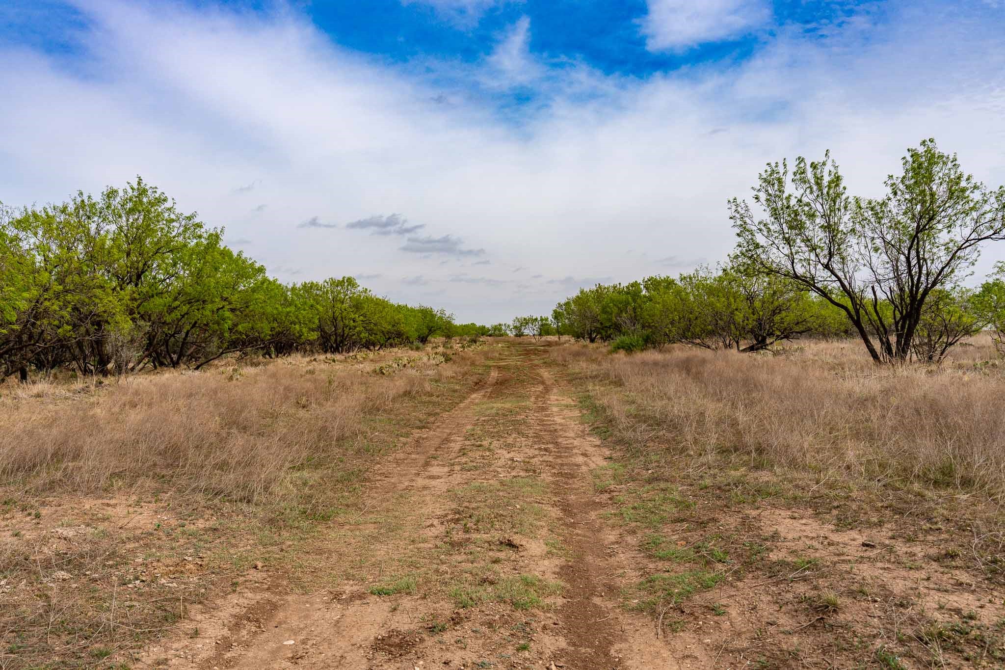 Tbd Rockdale Road No City TX 79533