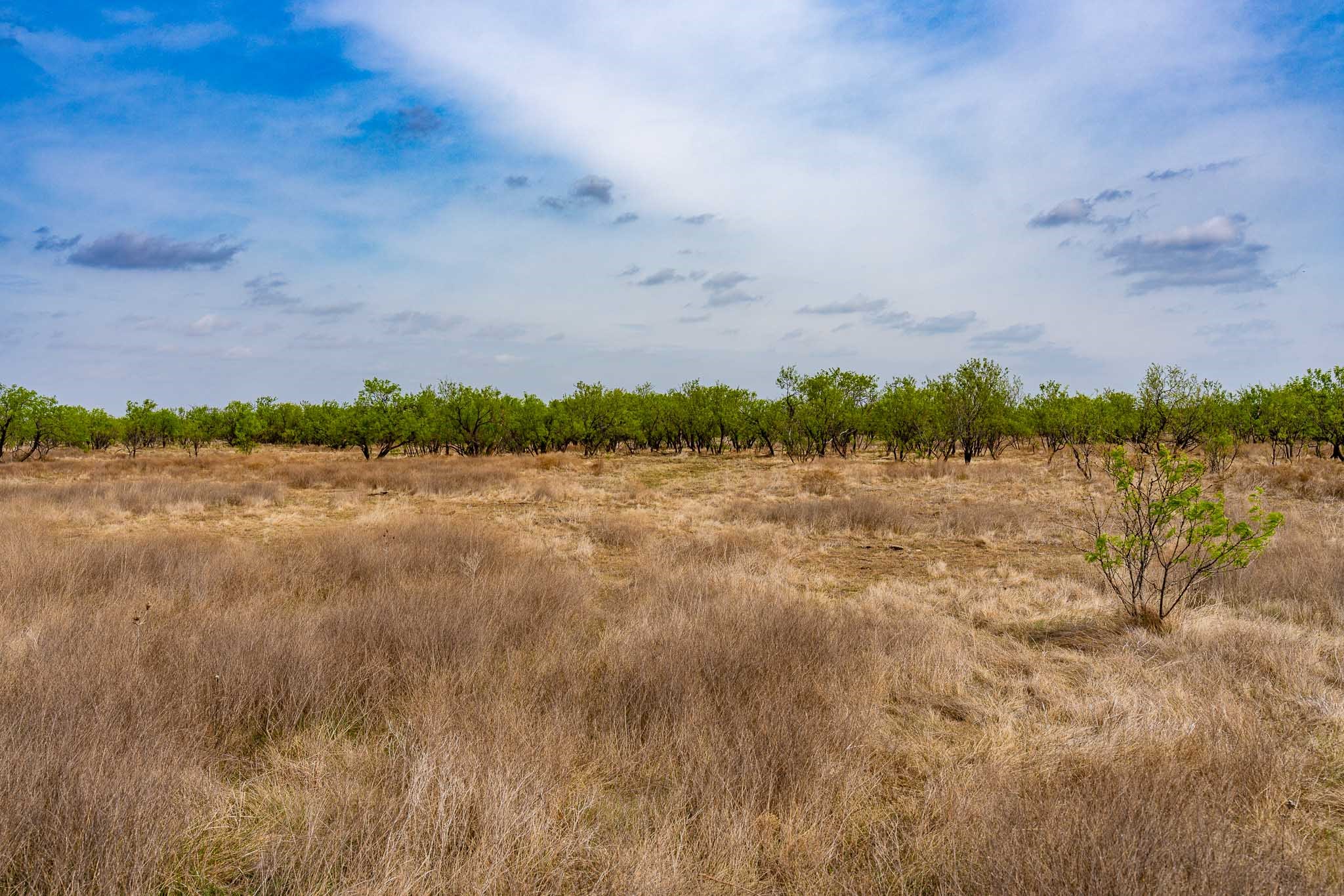 Tbd Rockdale Road No City TX 79533