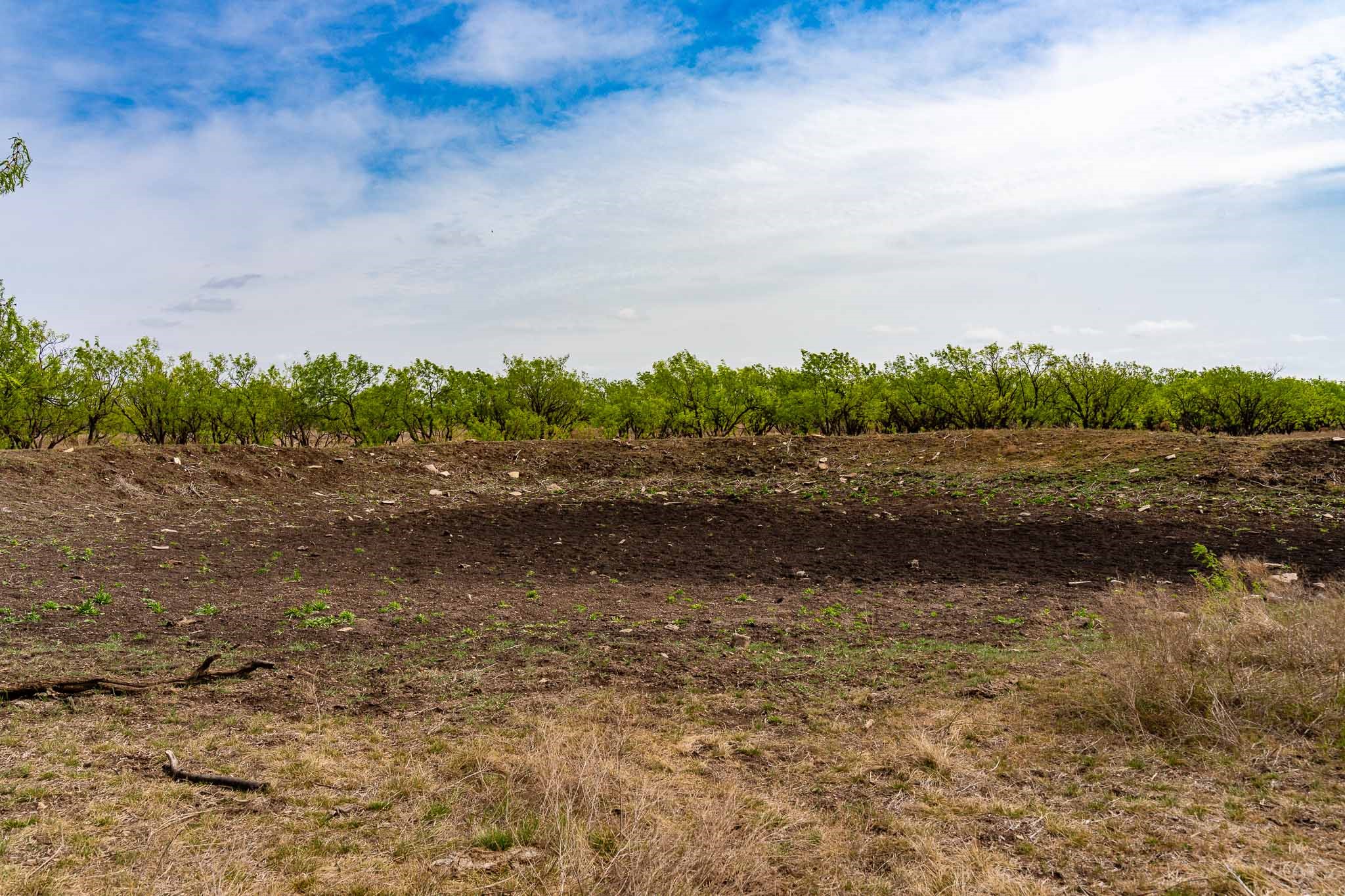 Tbd Rockdale Road No City TX 79533