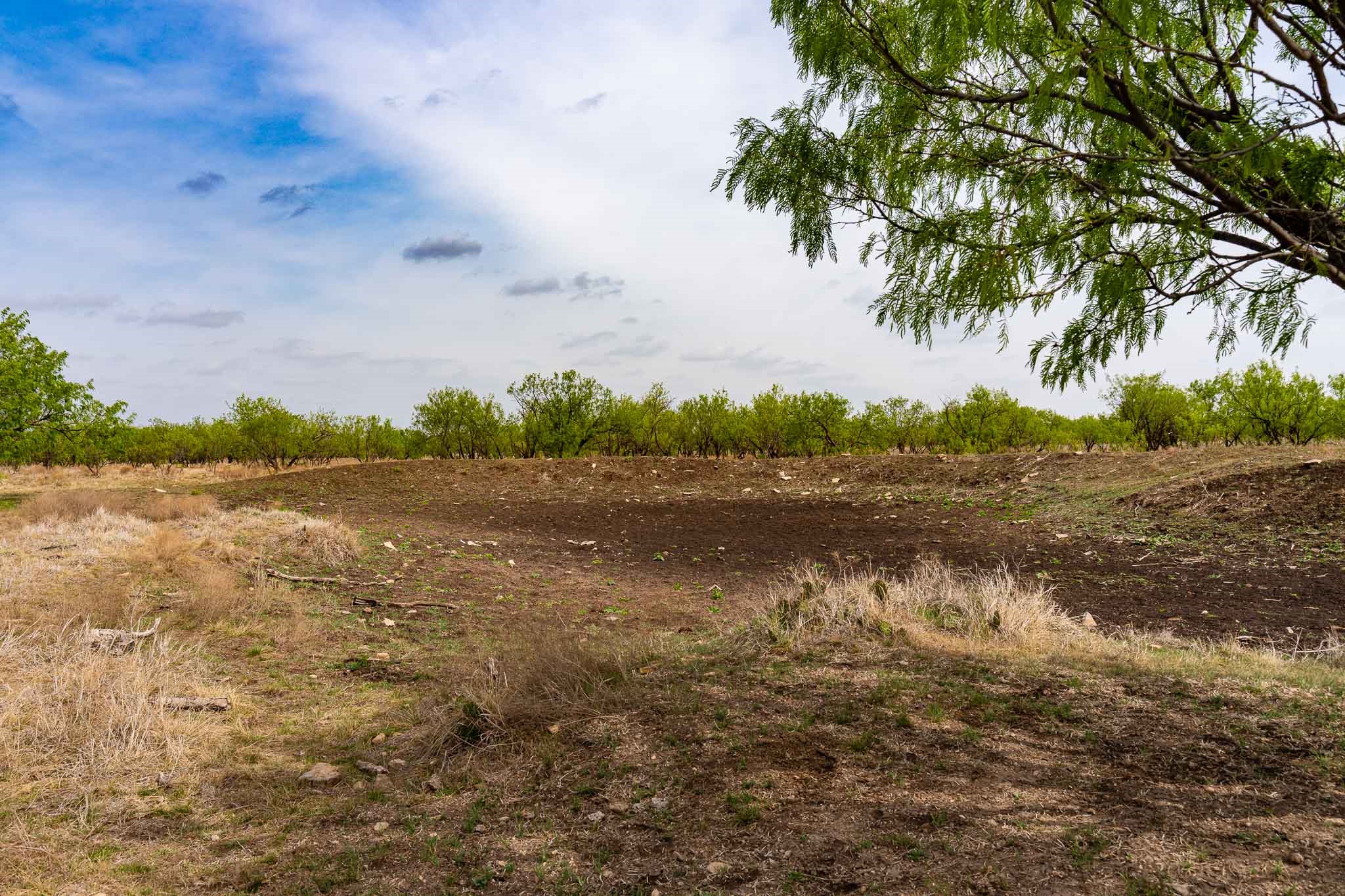 Tbd Rockdale Road No City TX 79533
