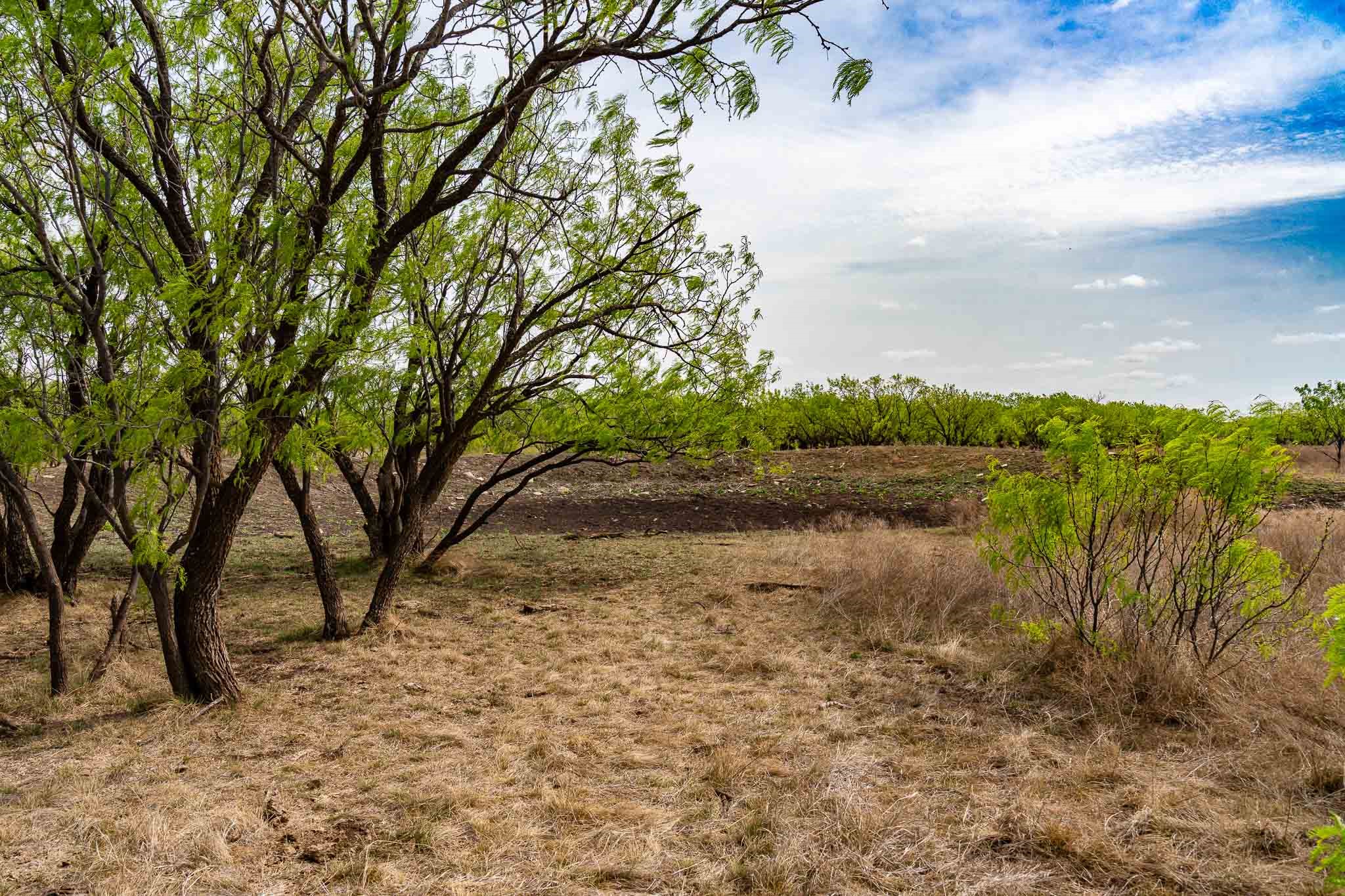 Tbd Rockdale Road No City TX 79533