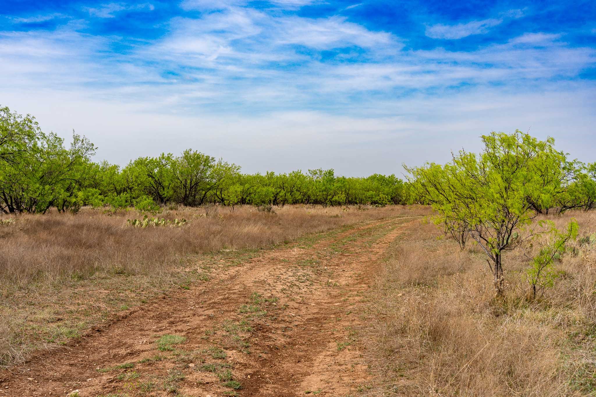 Tbd Rockdale Road No City TX 79533