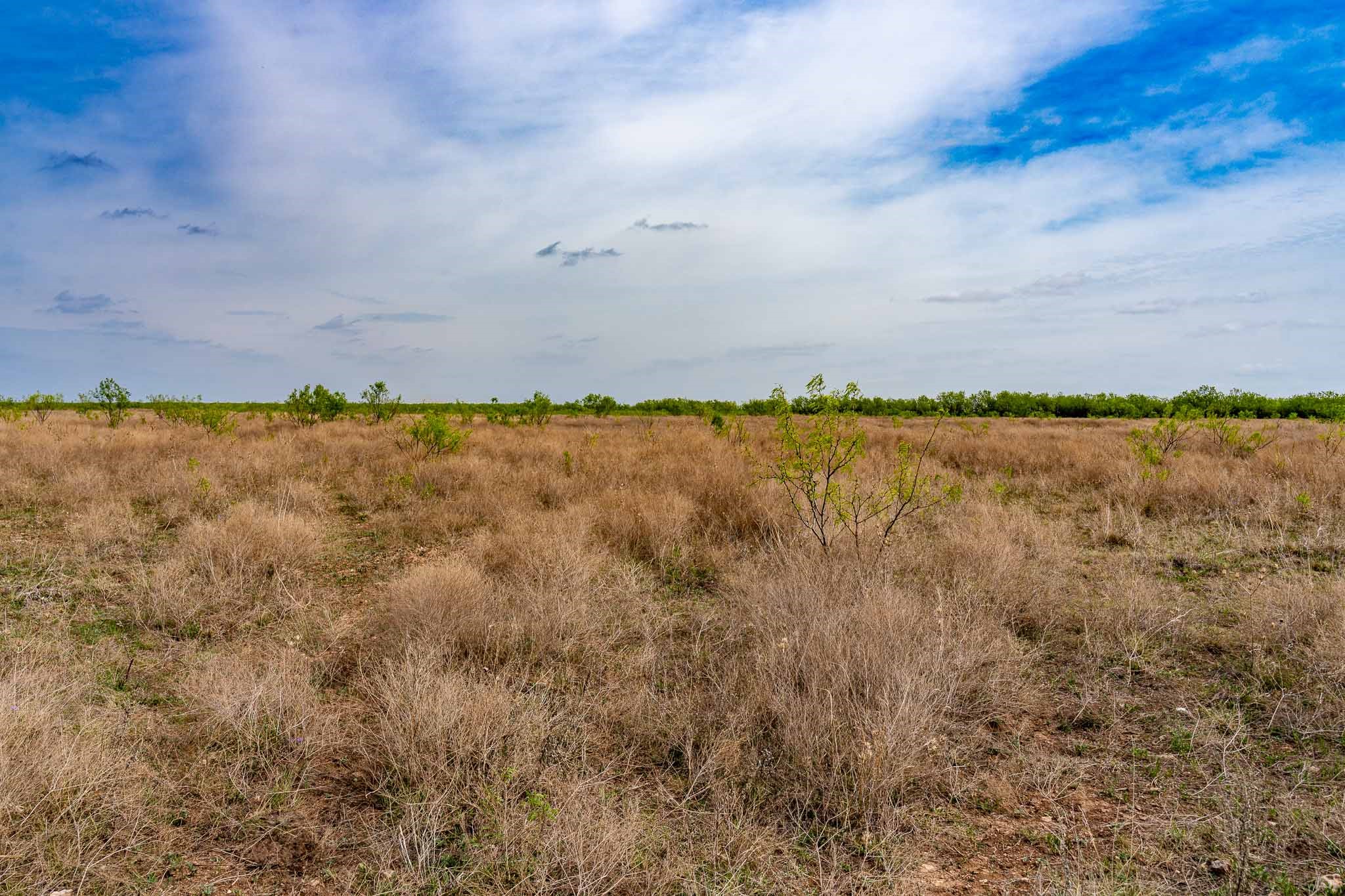 Tbd Rockdale Road No City TX 79533