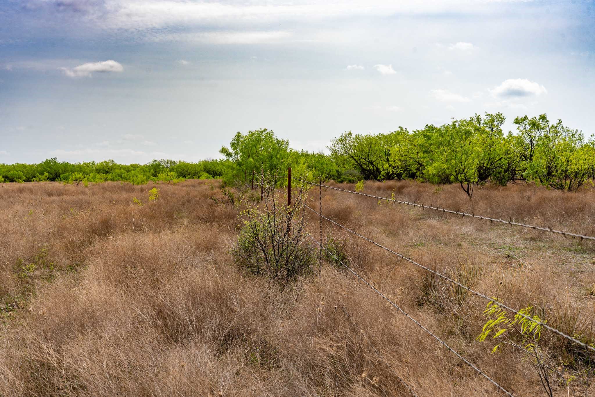 Tbd Rockdale Road No City TX 79533