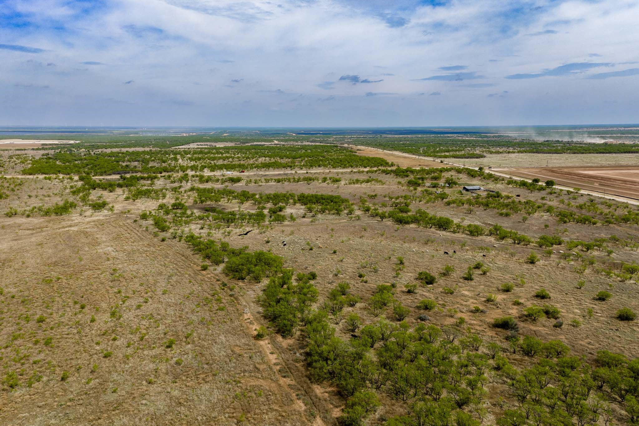 Tbd Rockdale Road No City TX 79533