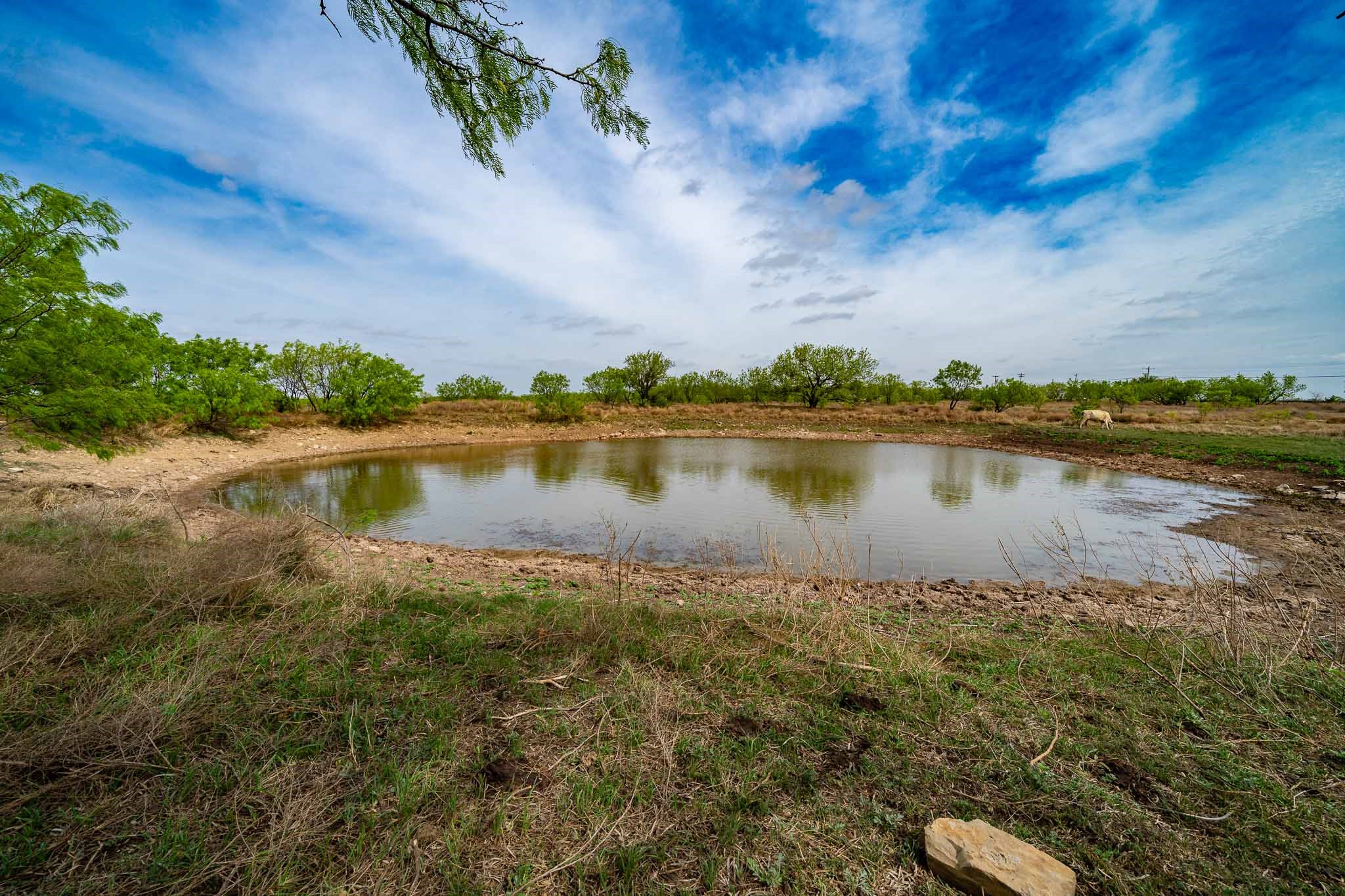 Tbd Rockdale Road No City TX 79533
