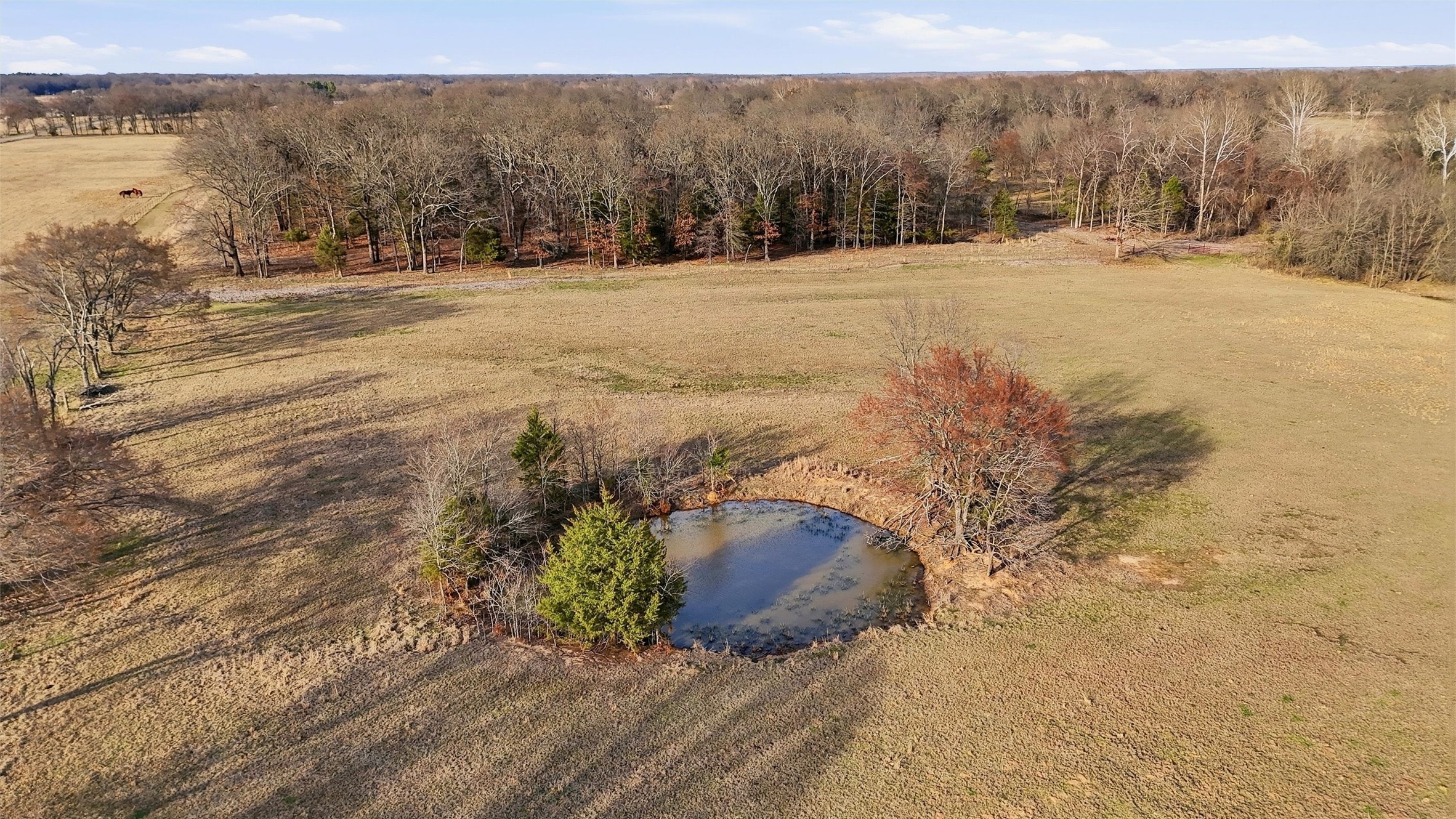 36200 County Line Road Sumner TX 75486