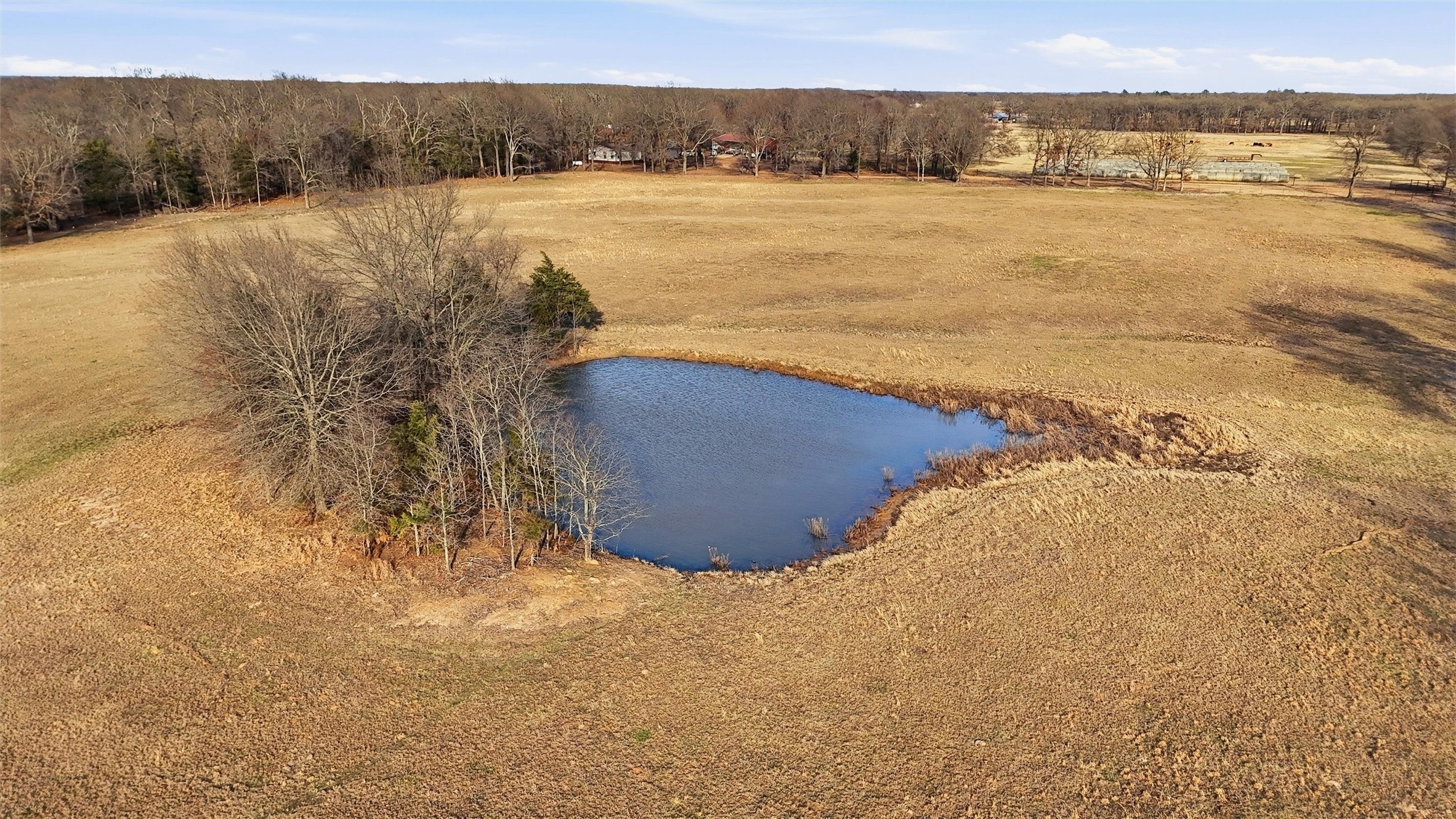 36200 County Line Road Sumner TX 75486