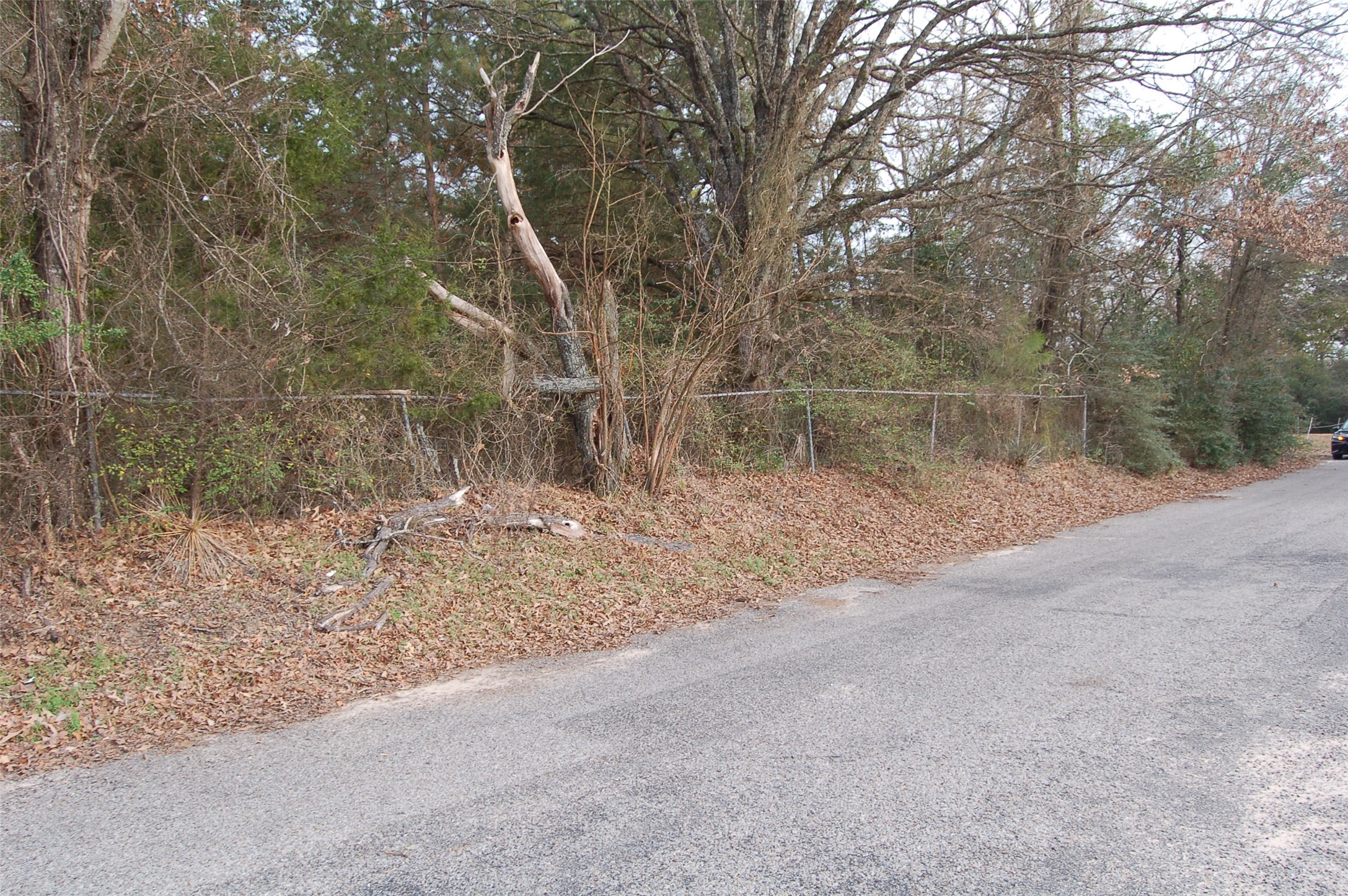 1004 Whiteside Road Tyler TX 75709