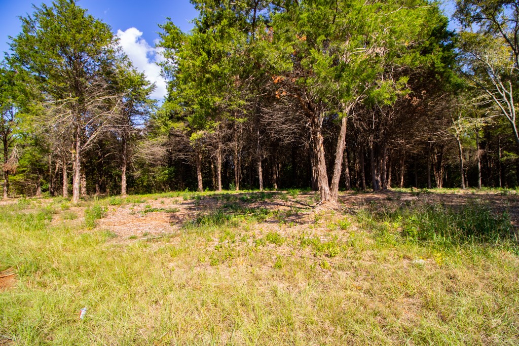 Tbd Cr 4173 Tyler TX 75704