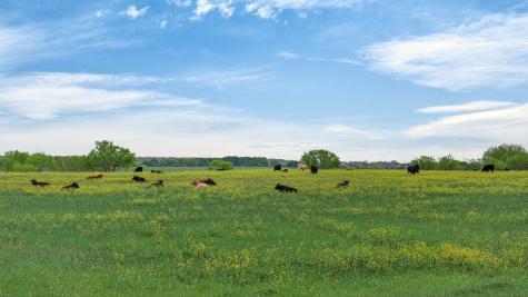 4901 Little Road Granbury TX 76049