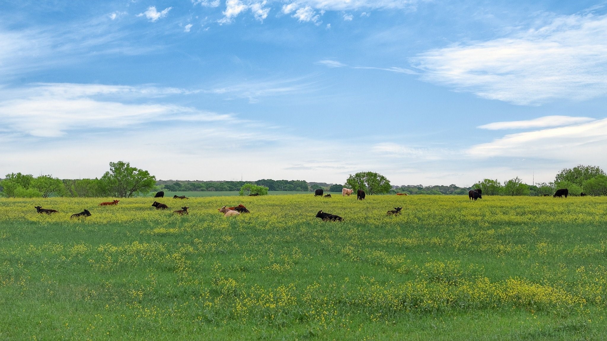 4901 Little Road Granbury TX 76049