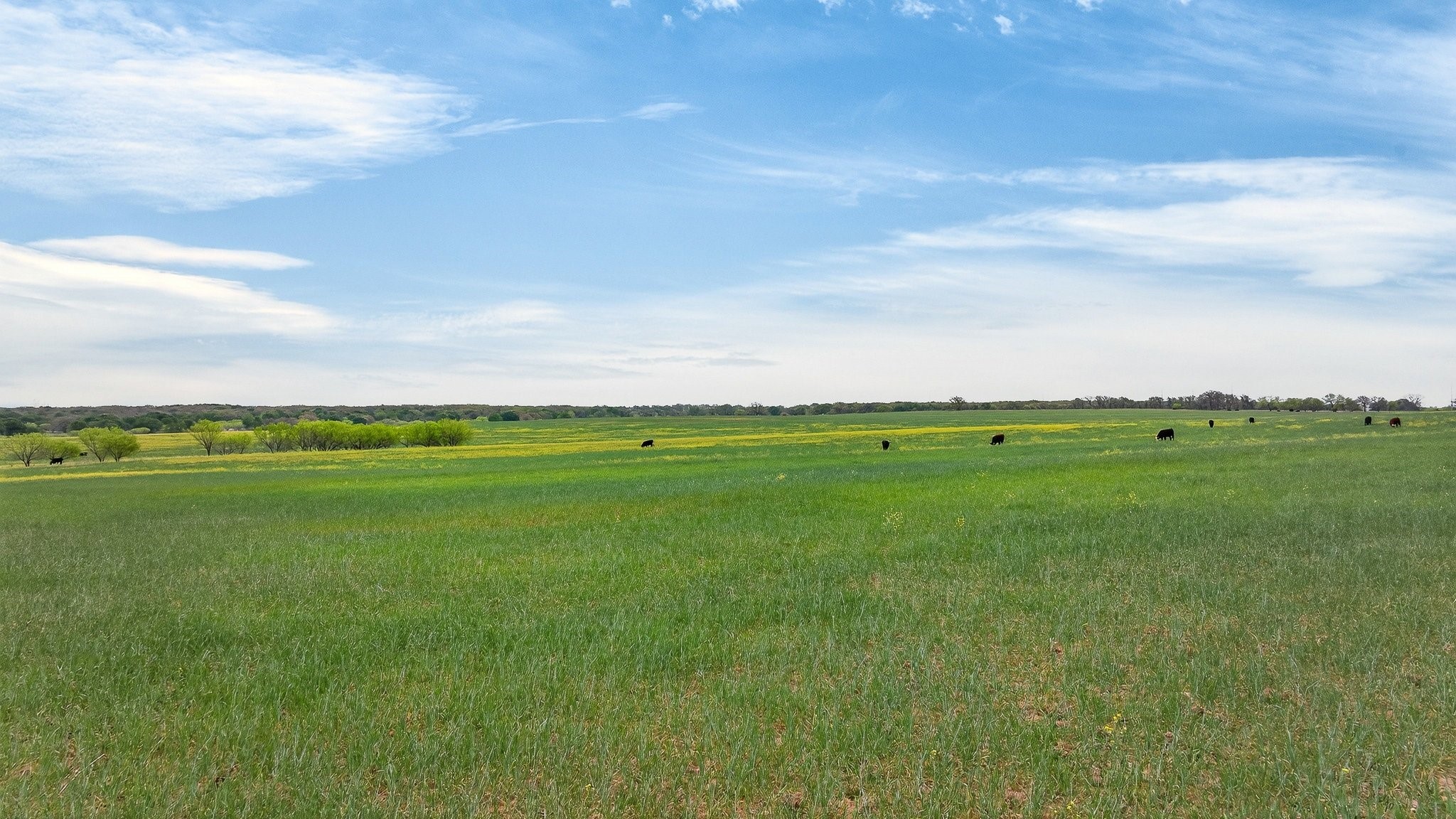 4901 Little Road Granbury TX 76049