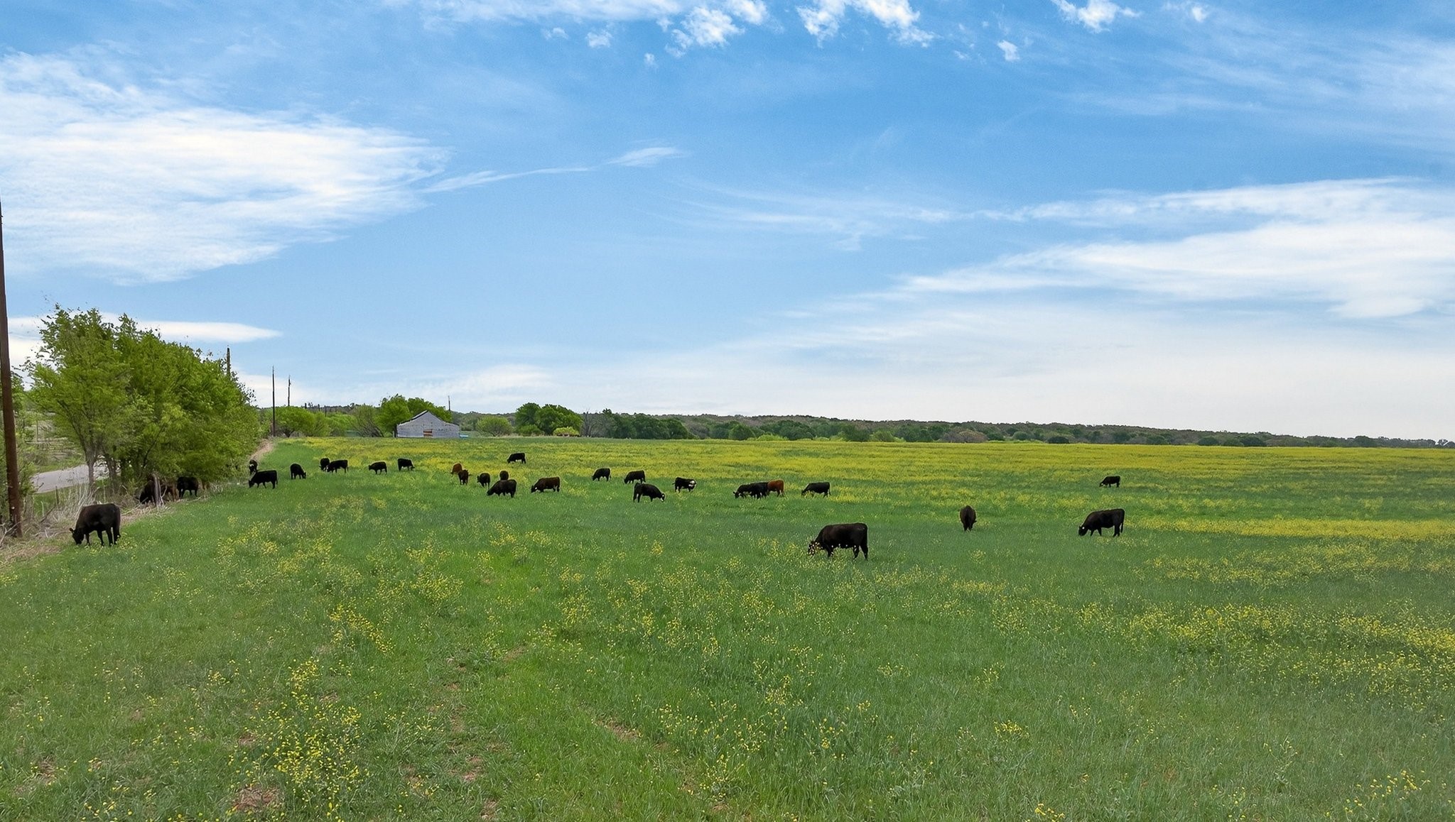 4901 Little Road Granbury TX 76049