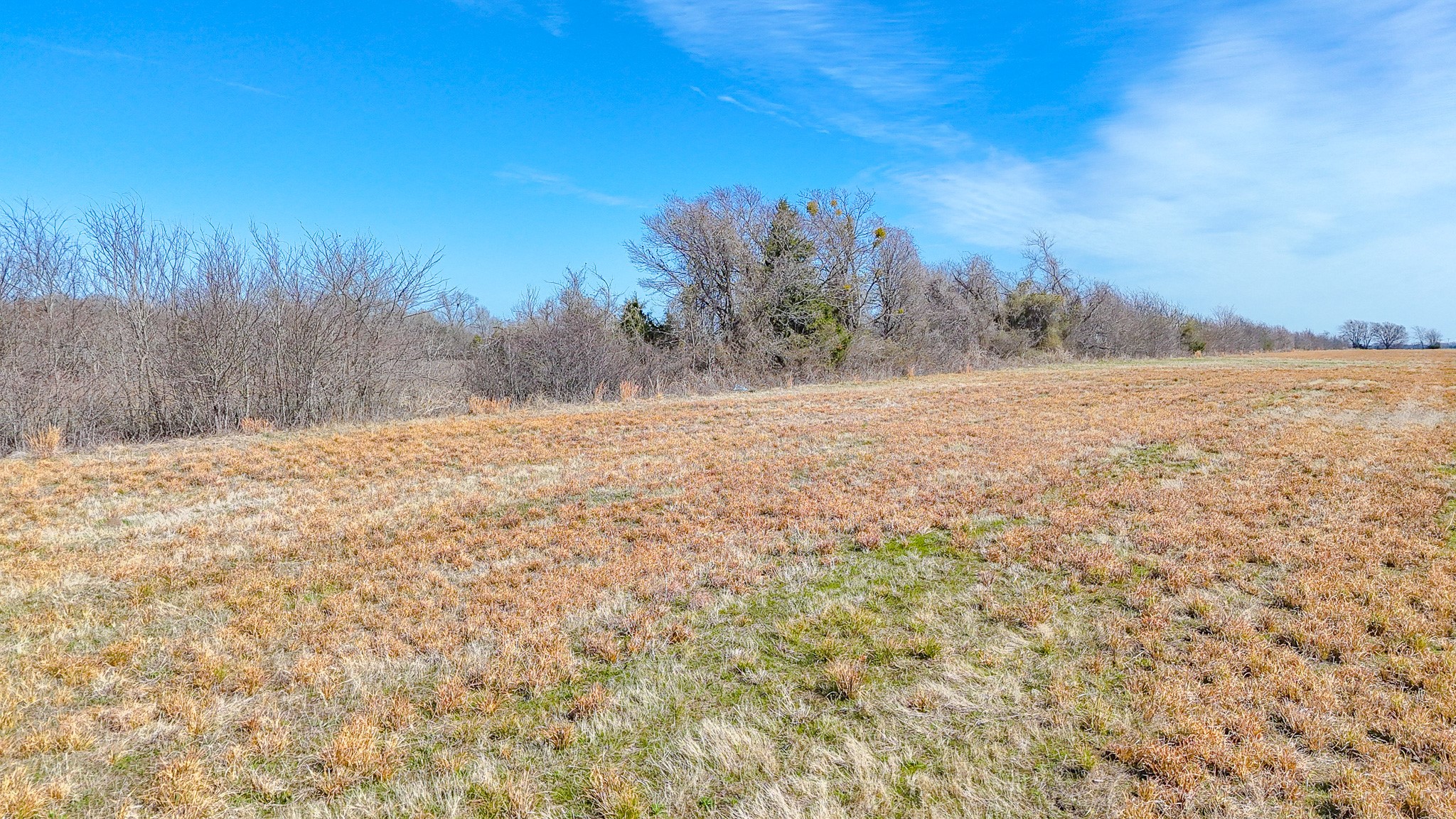 Lot 6 SE Cr 3300 Kerens TX 75144