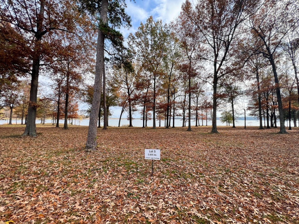 Lot 5 Eagles Nest Circle Mount Vernon TX 75457