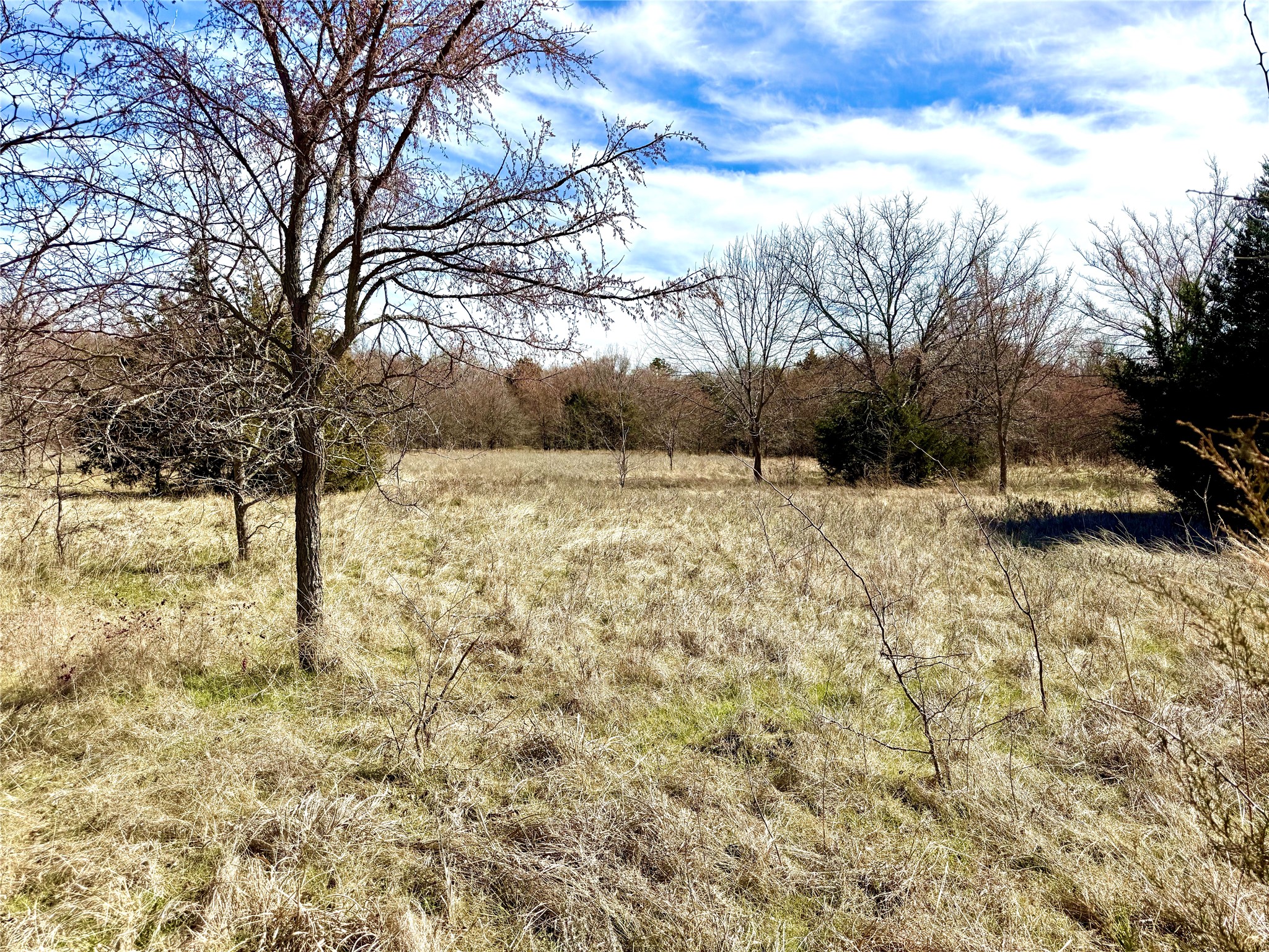 Tbd Dixie Road Whitesboro TX 76273