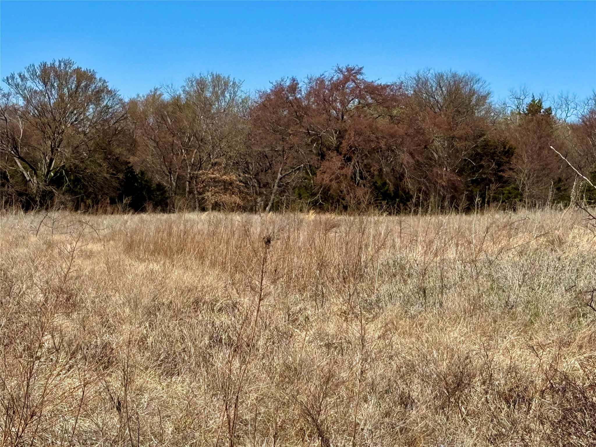 Tbd Dixie Road Whitesboro TX 76273