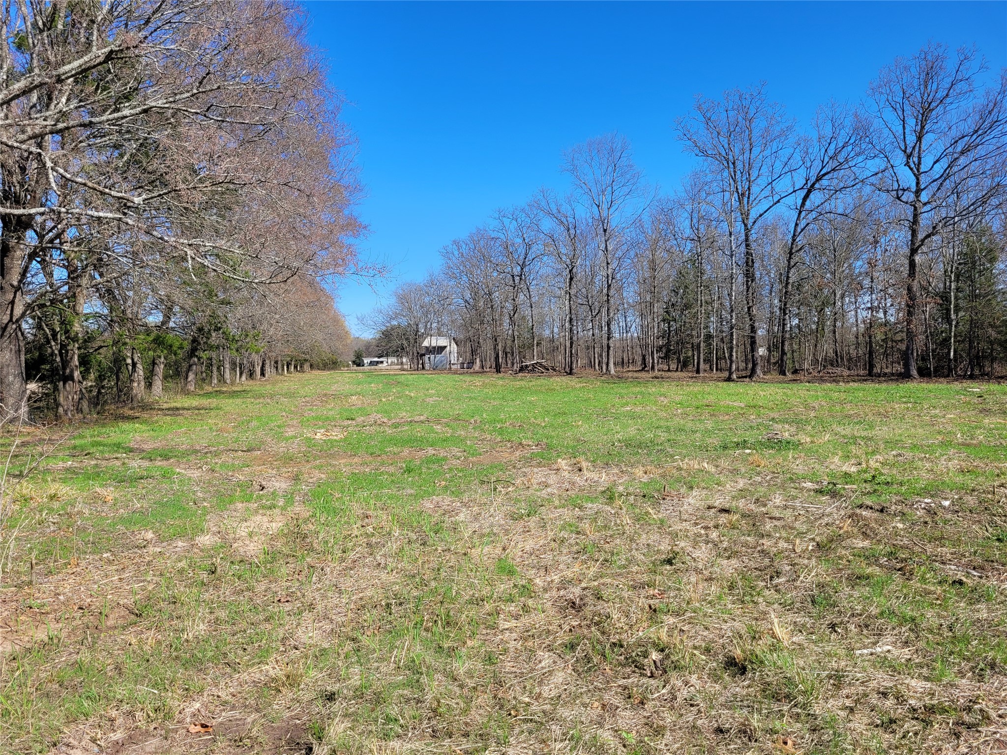 Tbd County Road 2140 Detroit TX 75436