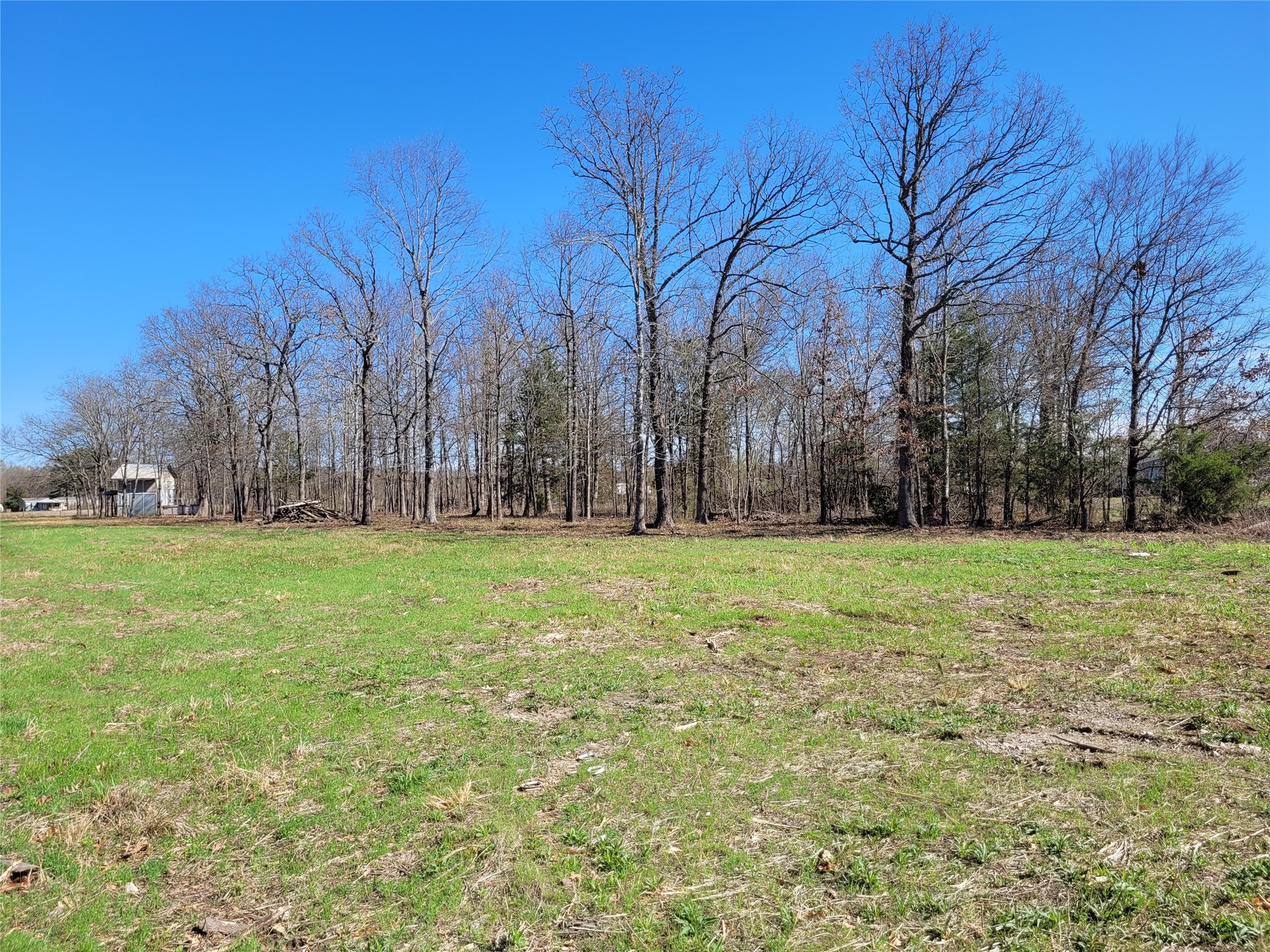 Tbd County Road 2140 Detroit TX 75436