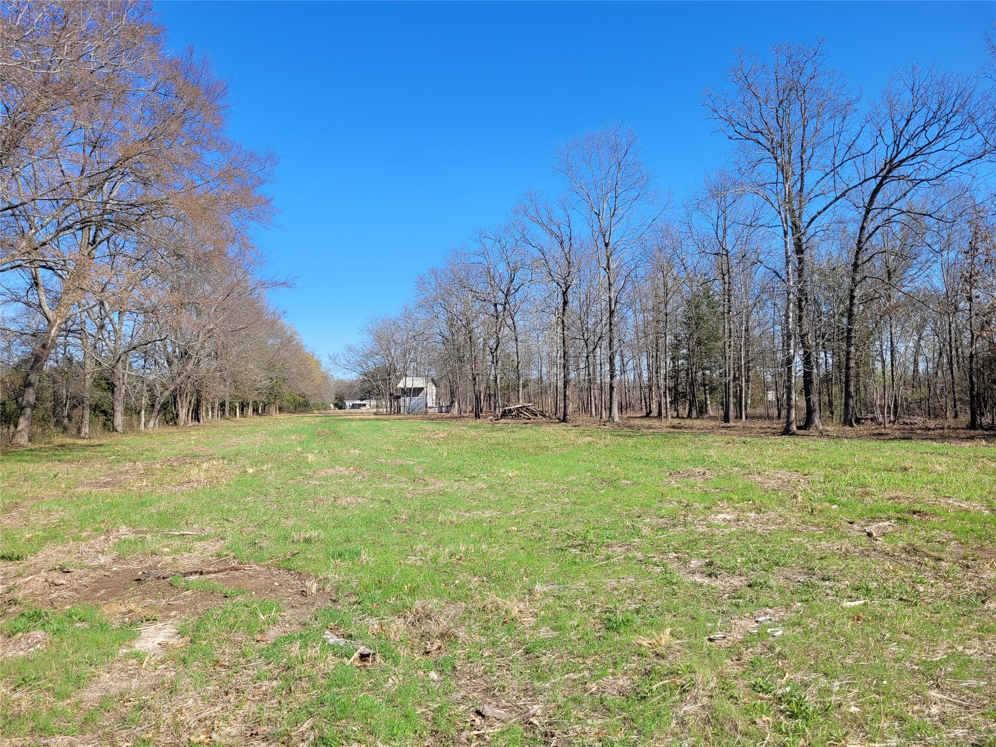 Tbd County Road 2140 Detroit TX 75436