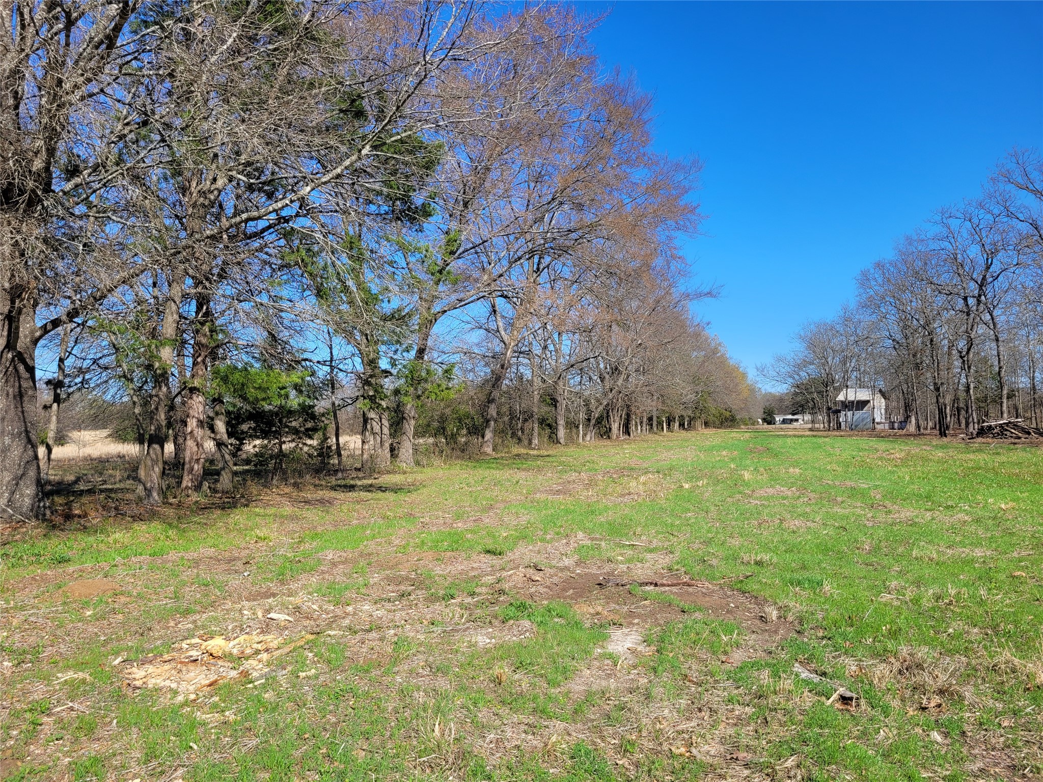 Tbd County Road 2140 Detroit TX 75436