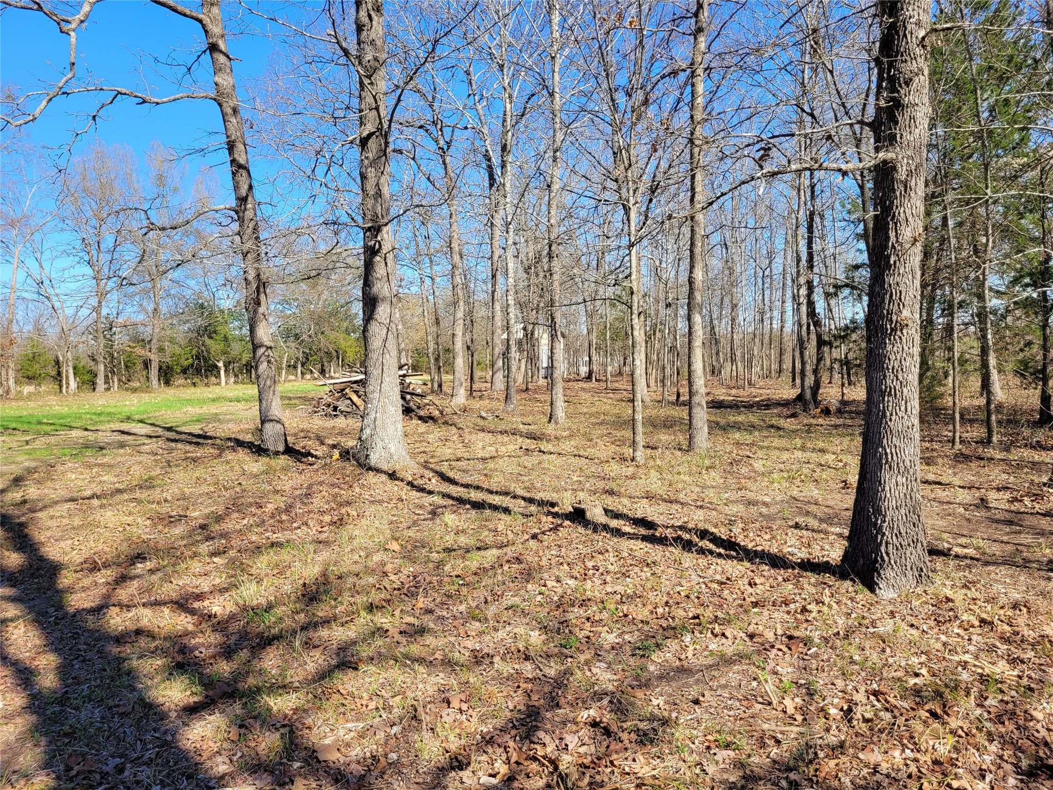 Tbd County Road 2140 Detroit TX 75436