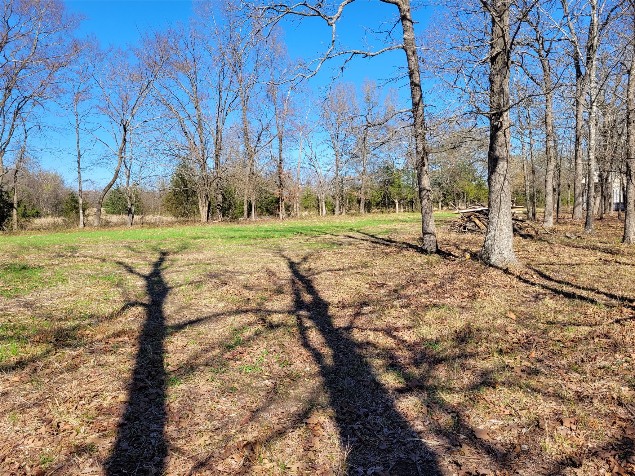 Tbd County Road 2140 Detroit TX 75436