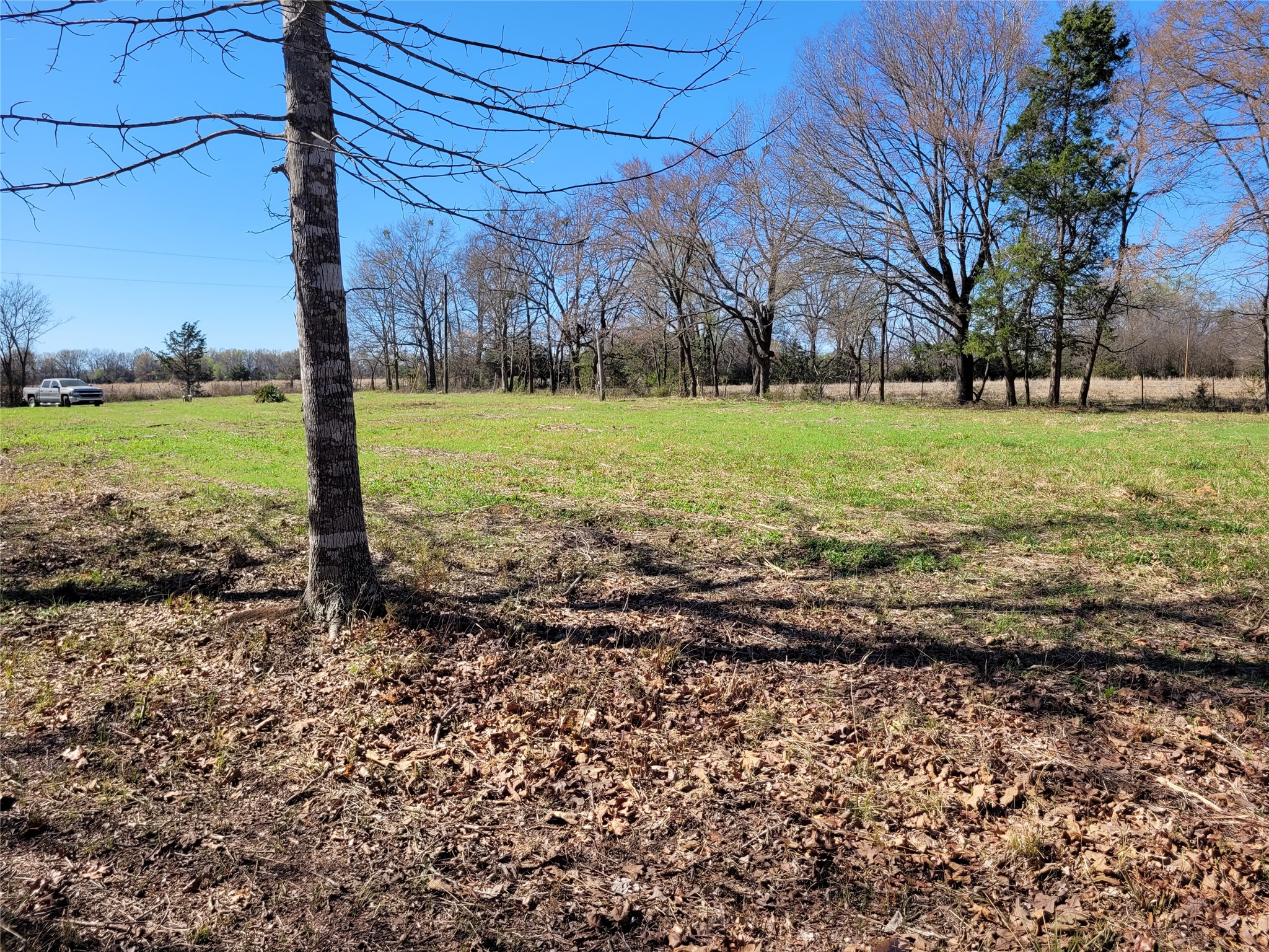 Tbd County Road 2140 Detroit TX 75436