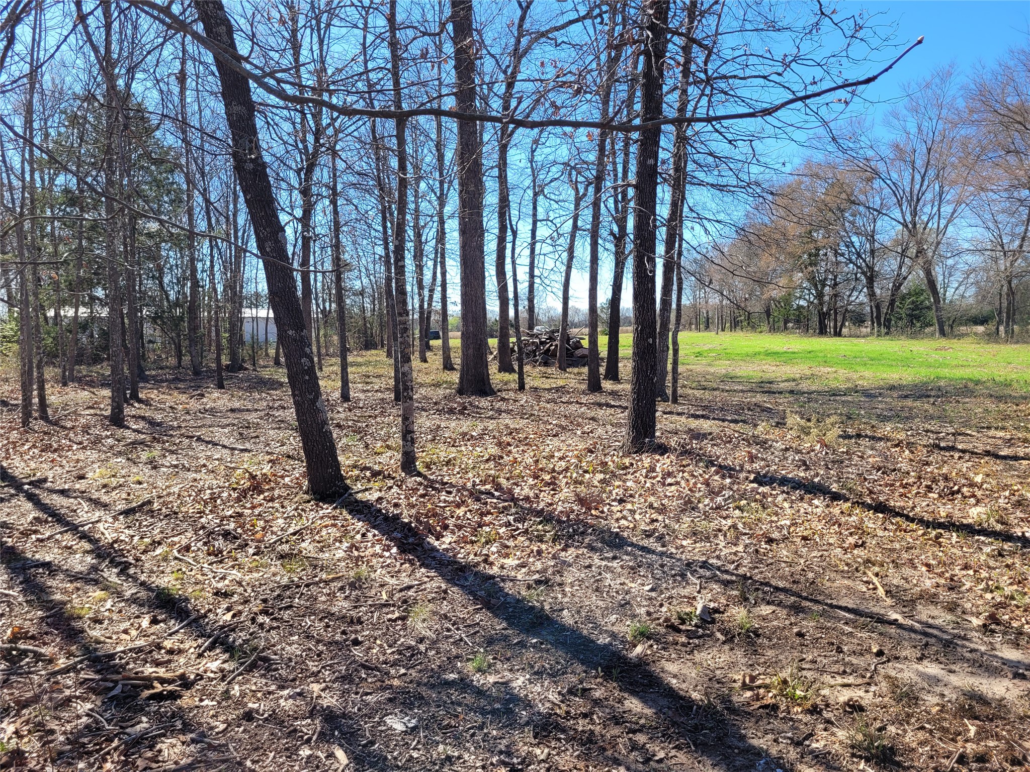 Tbd County Road 2140 Detroit TX 75436