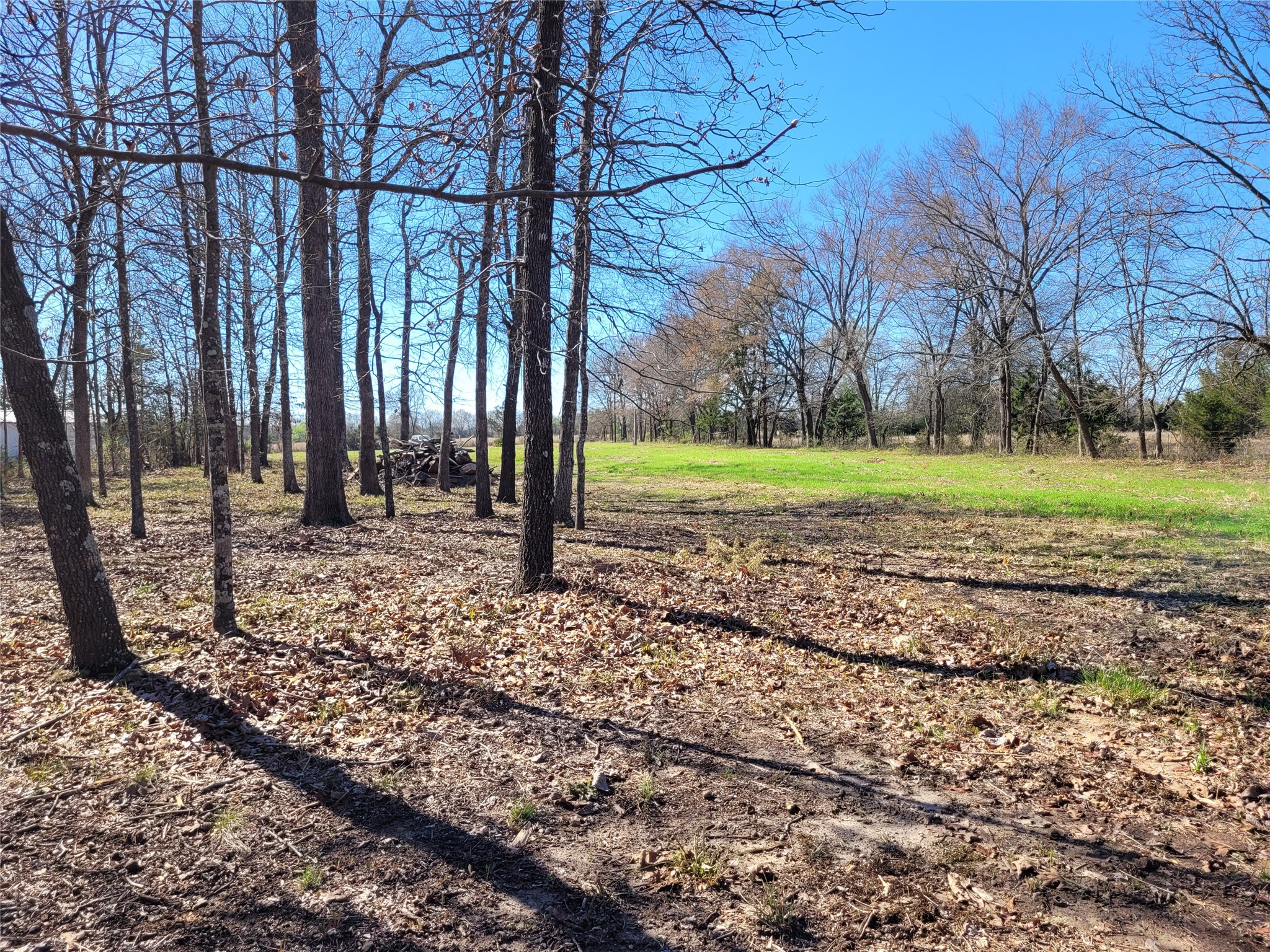 Tbd County Road 2140 Detroit TX 75436