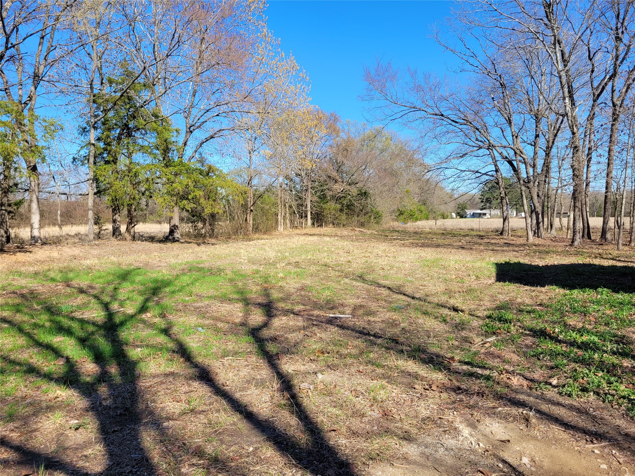 Tbd County Road 2140 Detroit TX 75436