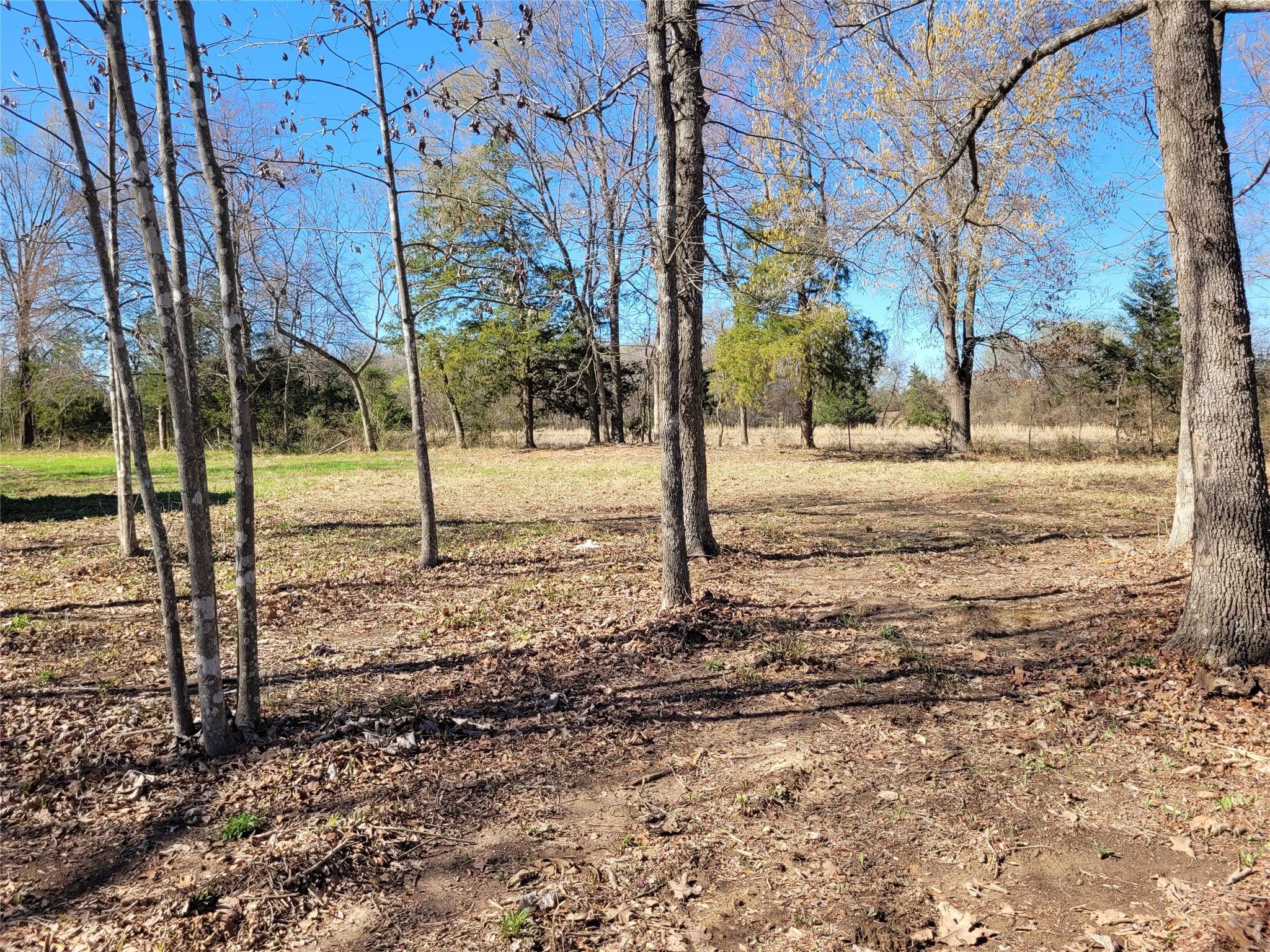 Tbd County Road 2140 Detroit TX 75436