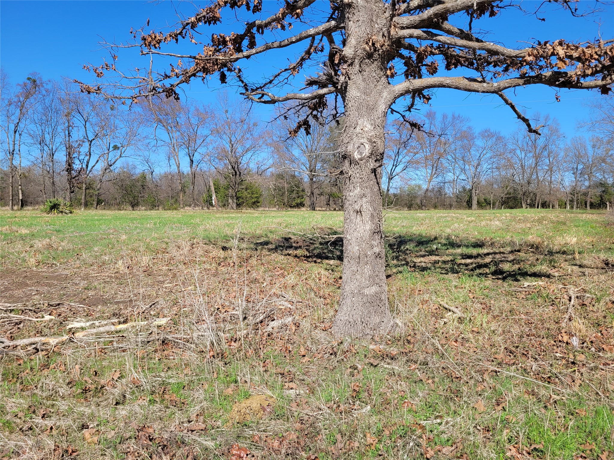 Tbd County Road 2140 Detroit TX 75436