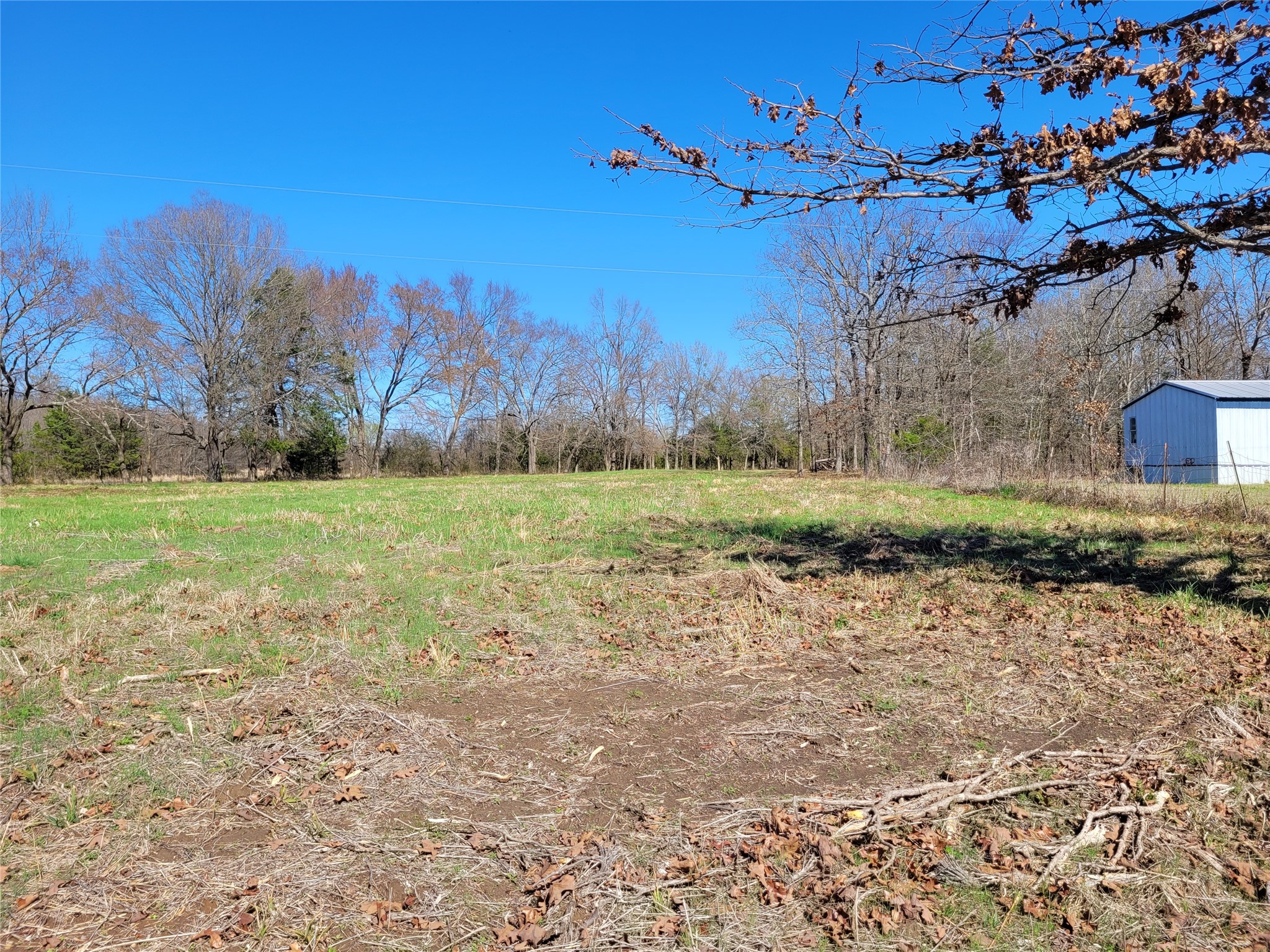 Tbd County Road 2140 Detroit TX 75436