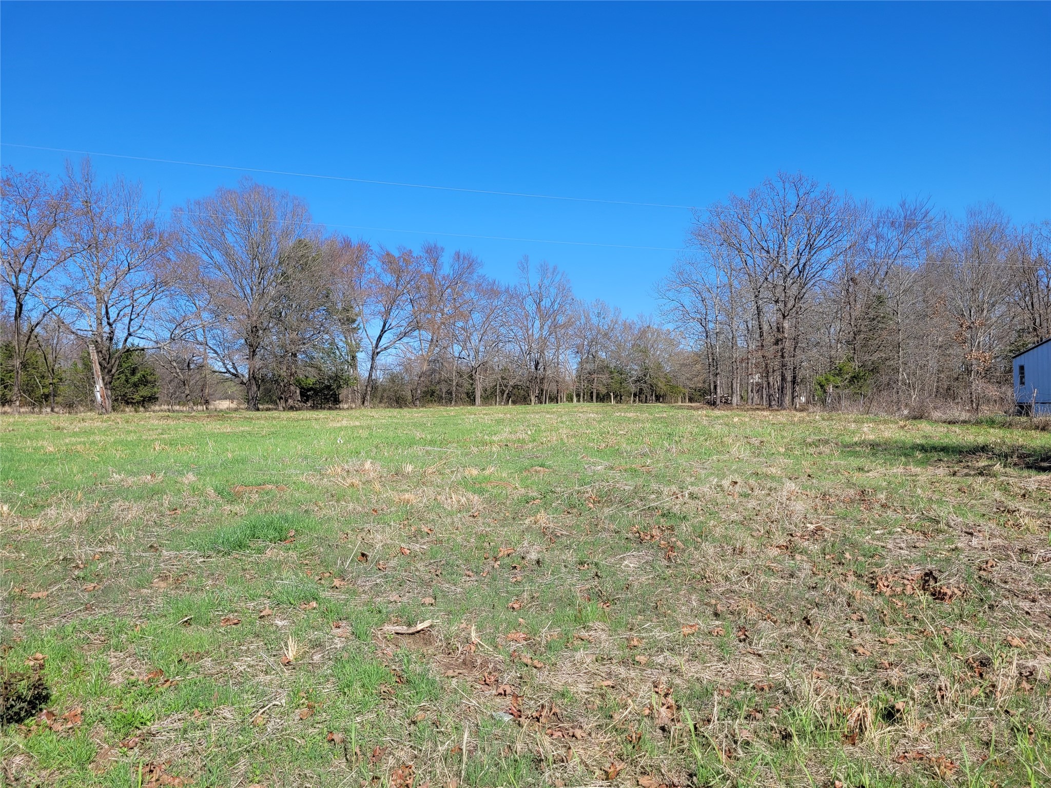 Tbd County Road 2140 Detroit TX 75436
