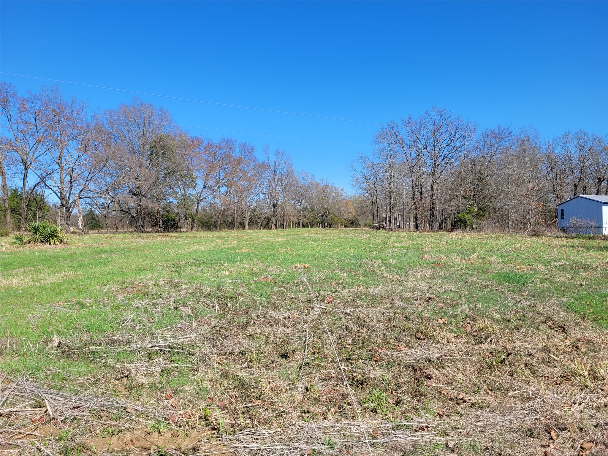 Tbd County Road 2140 Detroit TX 75436