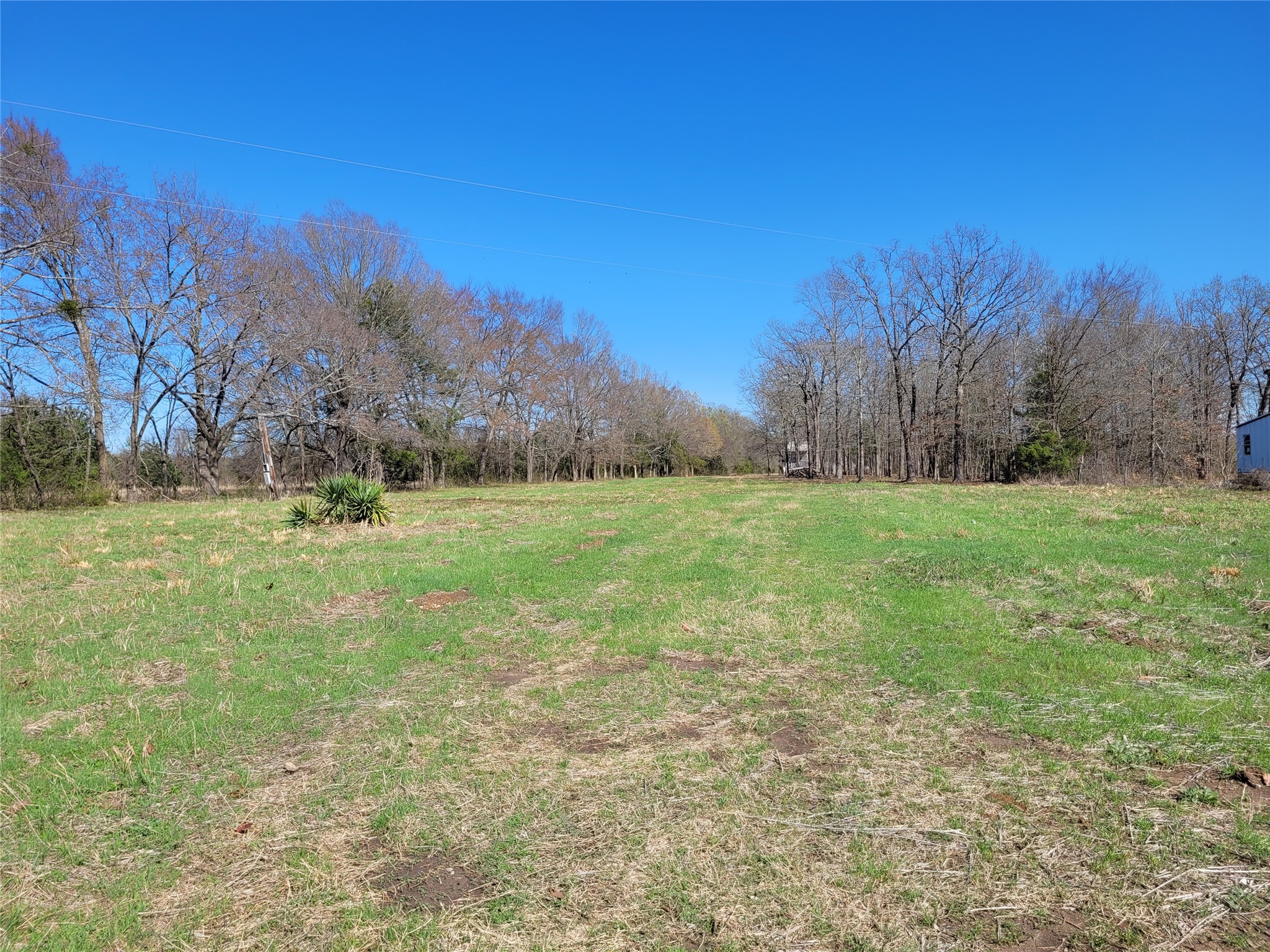 Tbd County Road 2140 Detroit TX 75436