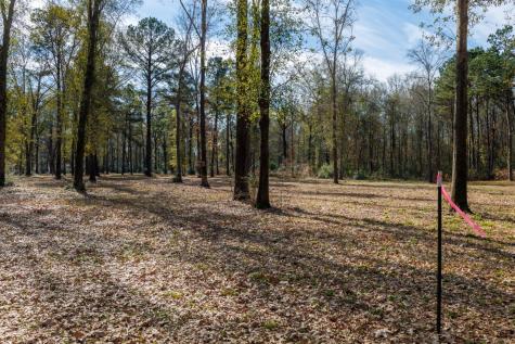 Tbd (Lot 4) County Road 3545 Joaquin TX 75954