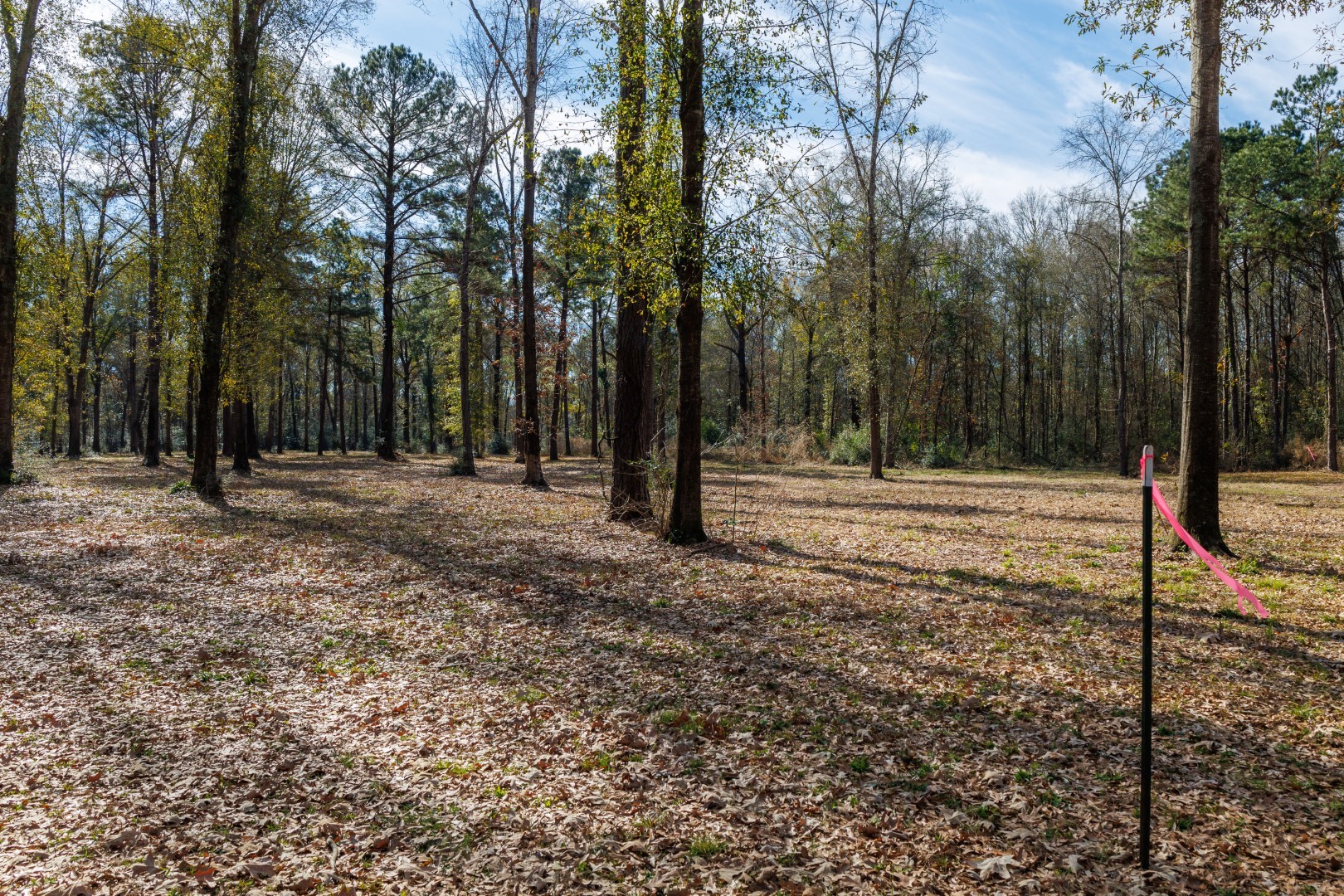 Tbd (Lot 4) County Road 3545 Joaquin TX 75954